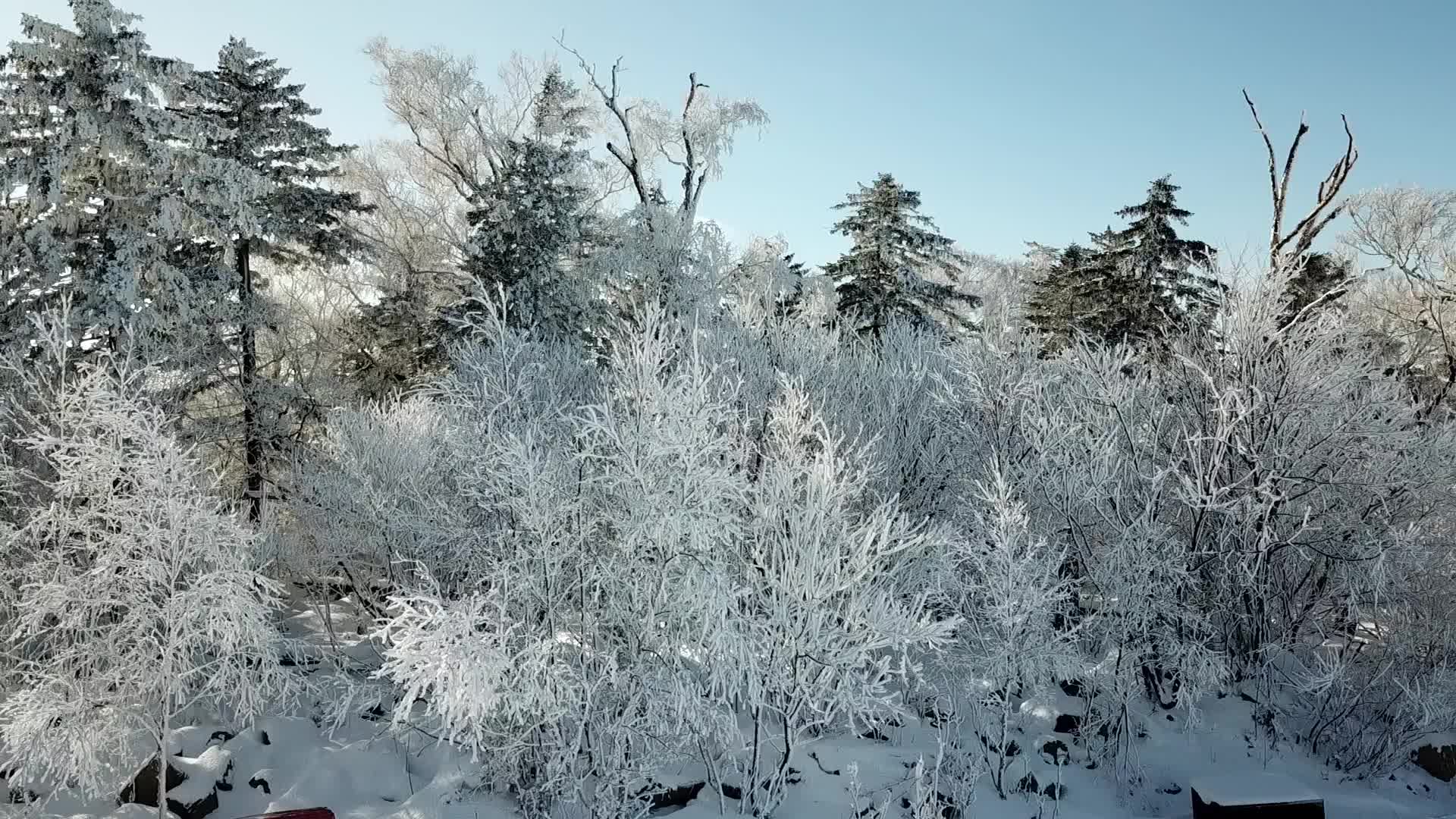 冬天里的东北山里农村视频的预览图