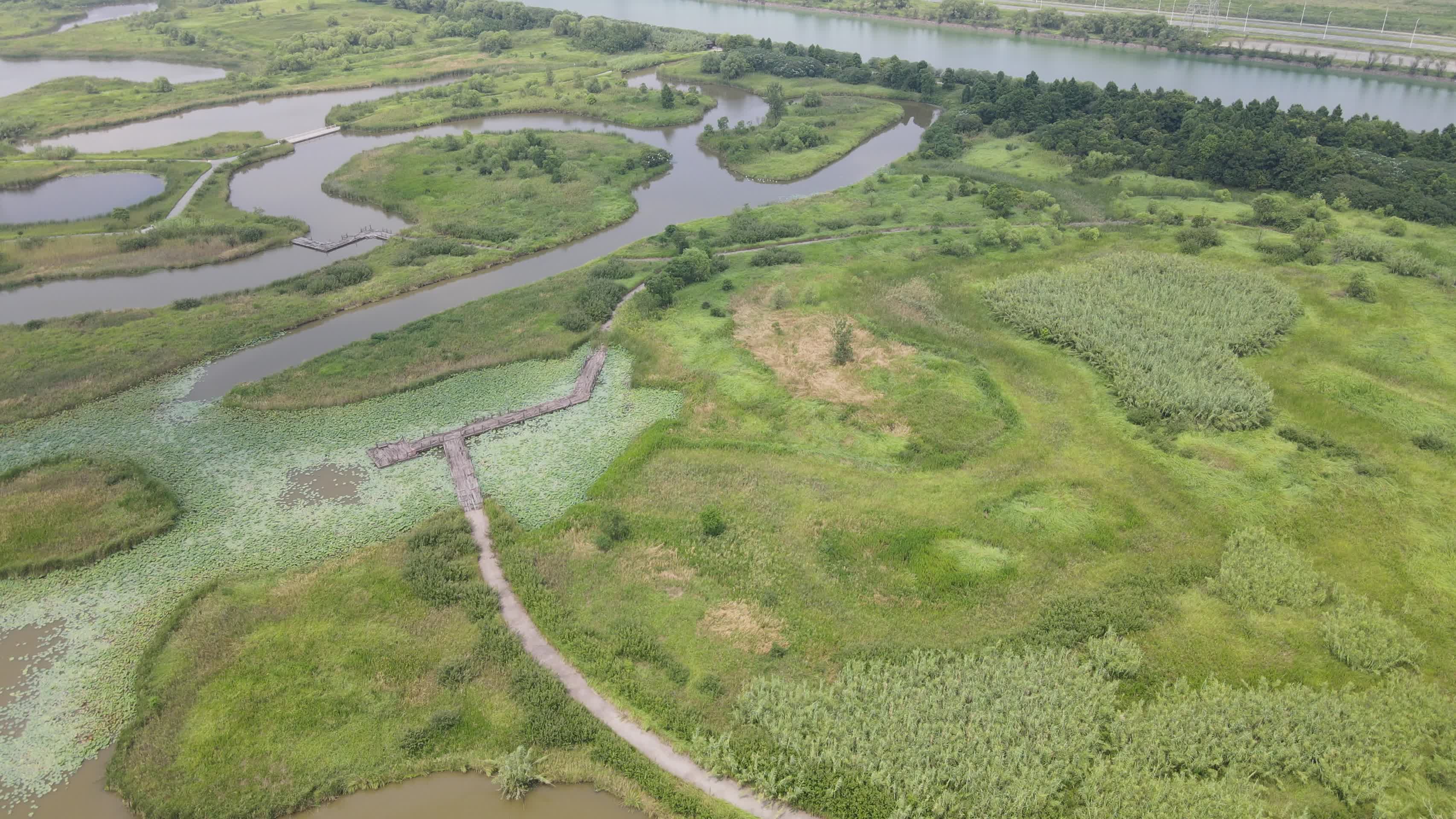 航拍宁波慈溪市杭州湾国家湿地公园4K航拍视频的预览图
