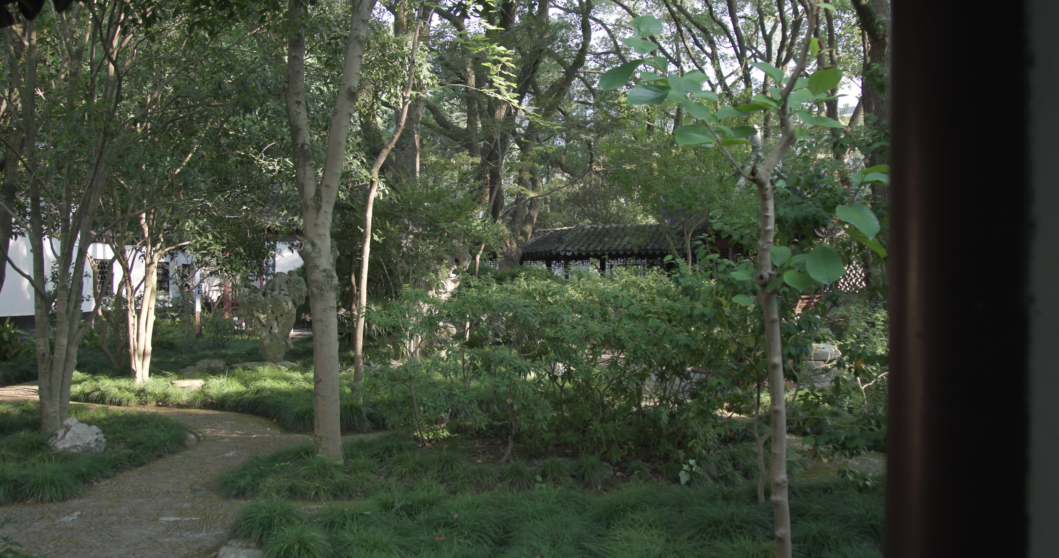 意境空镜古建荷花庭院4K实拍8K实拍视频的预览图