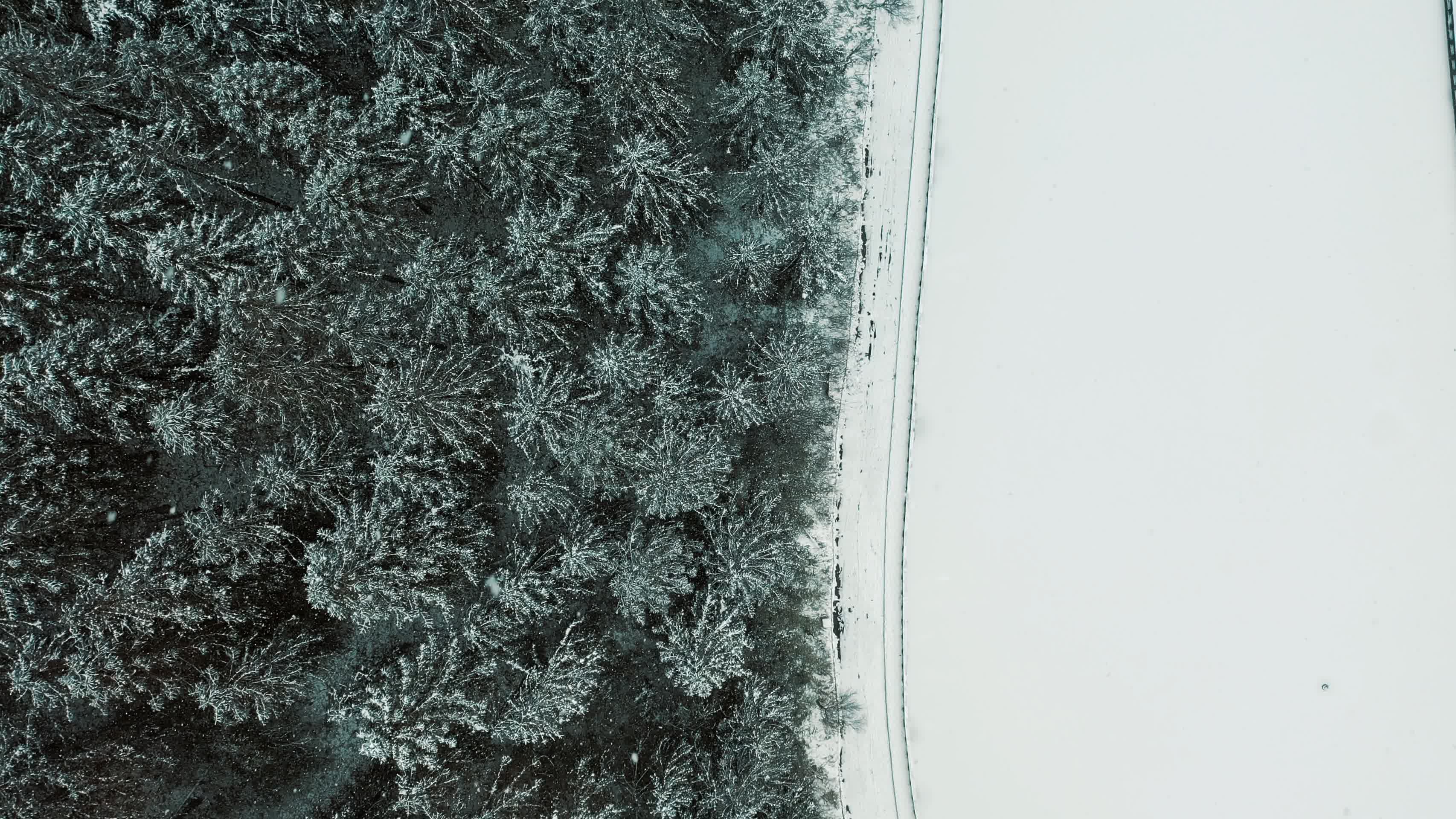 航拍冬季下雪森林雪花冰湖视频的预览图