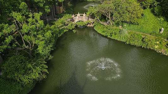 荷花园荷花荷叶空镜古典园林4K航拍视频的预览图
