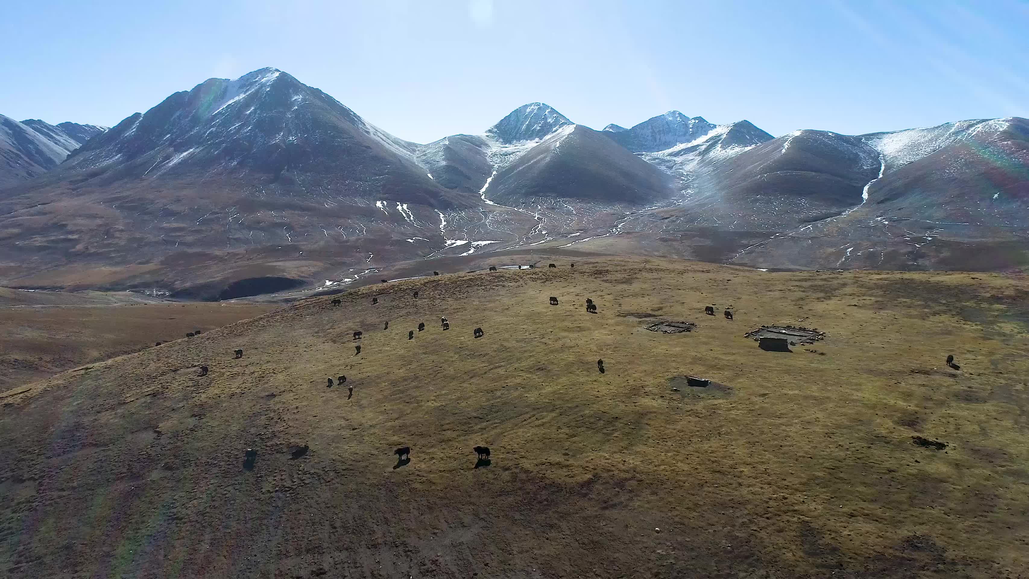西藏秋季高山草原雪山融化小溪航拍4K视频的预览图