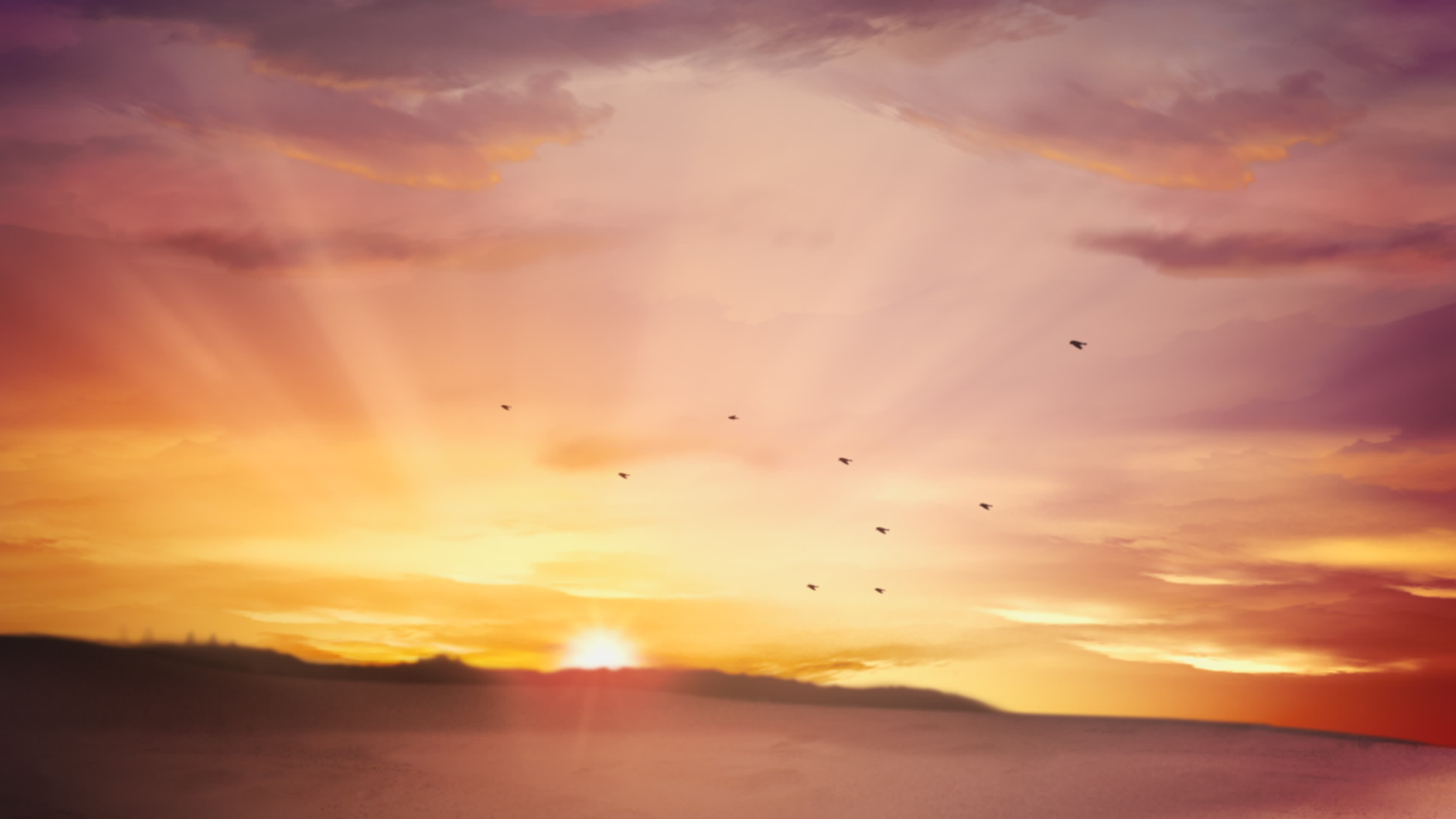 日出日落云朵飘动小鸟飞舞视频的预览图