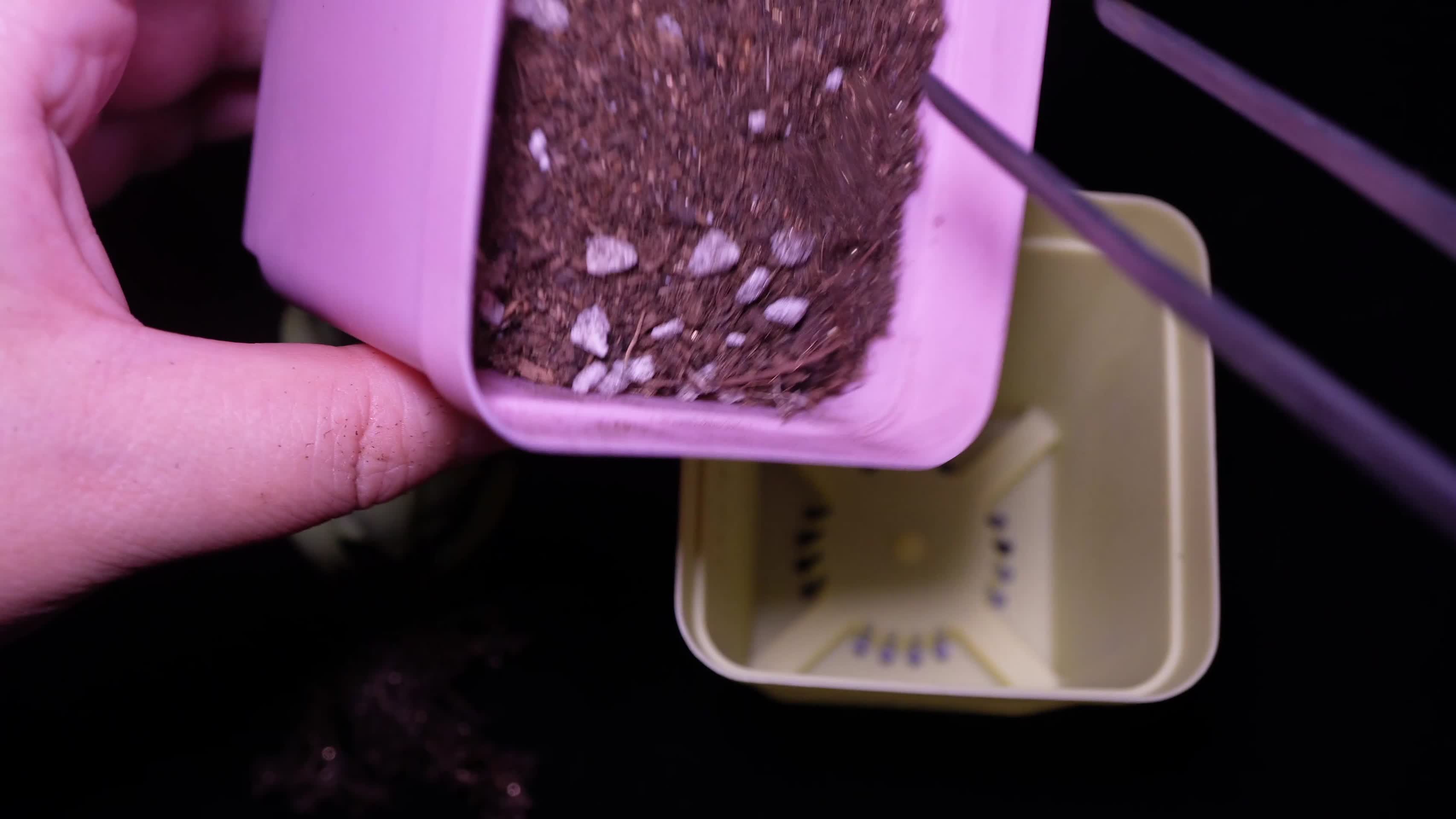 花盆营养土种植多肉植物家庭盆栽DIY视频的预览图