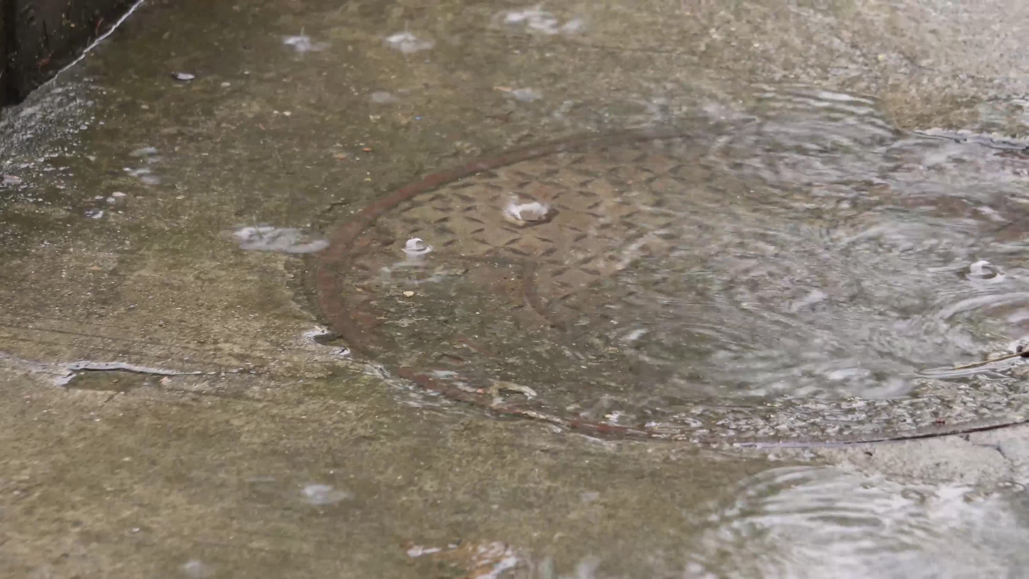 镜头合集下雨积水城市排水下水道水井视频的预览图