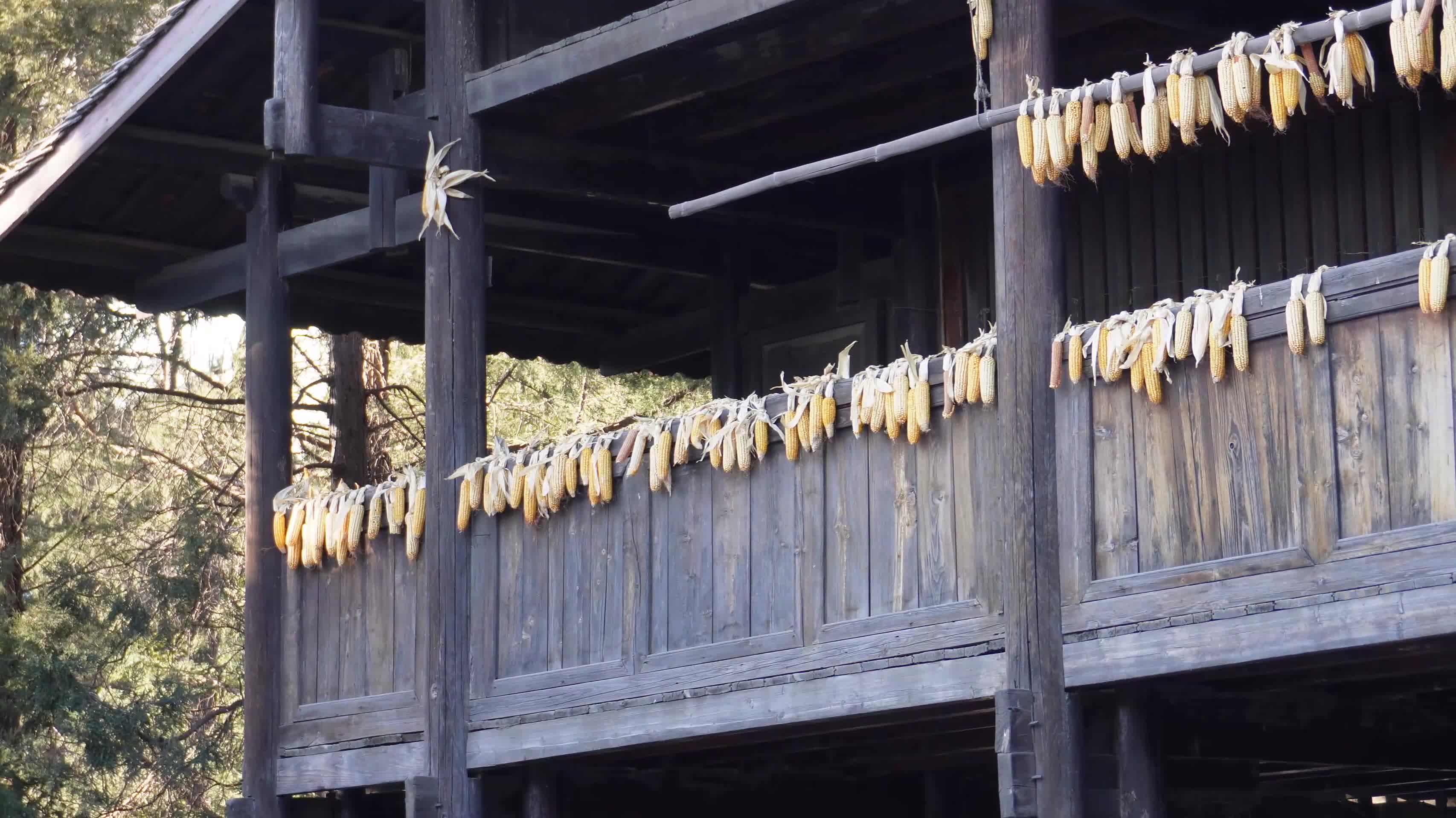镜头合集民族特色建筑侗族山寨水寨阁楼视频的预览图