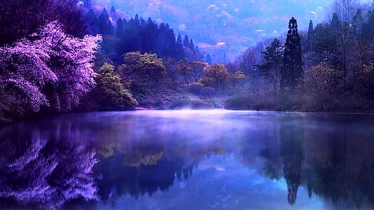 蓝色主题夜色湖水背景视频的预览图