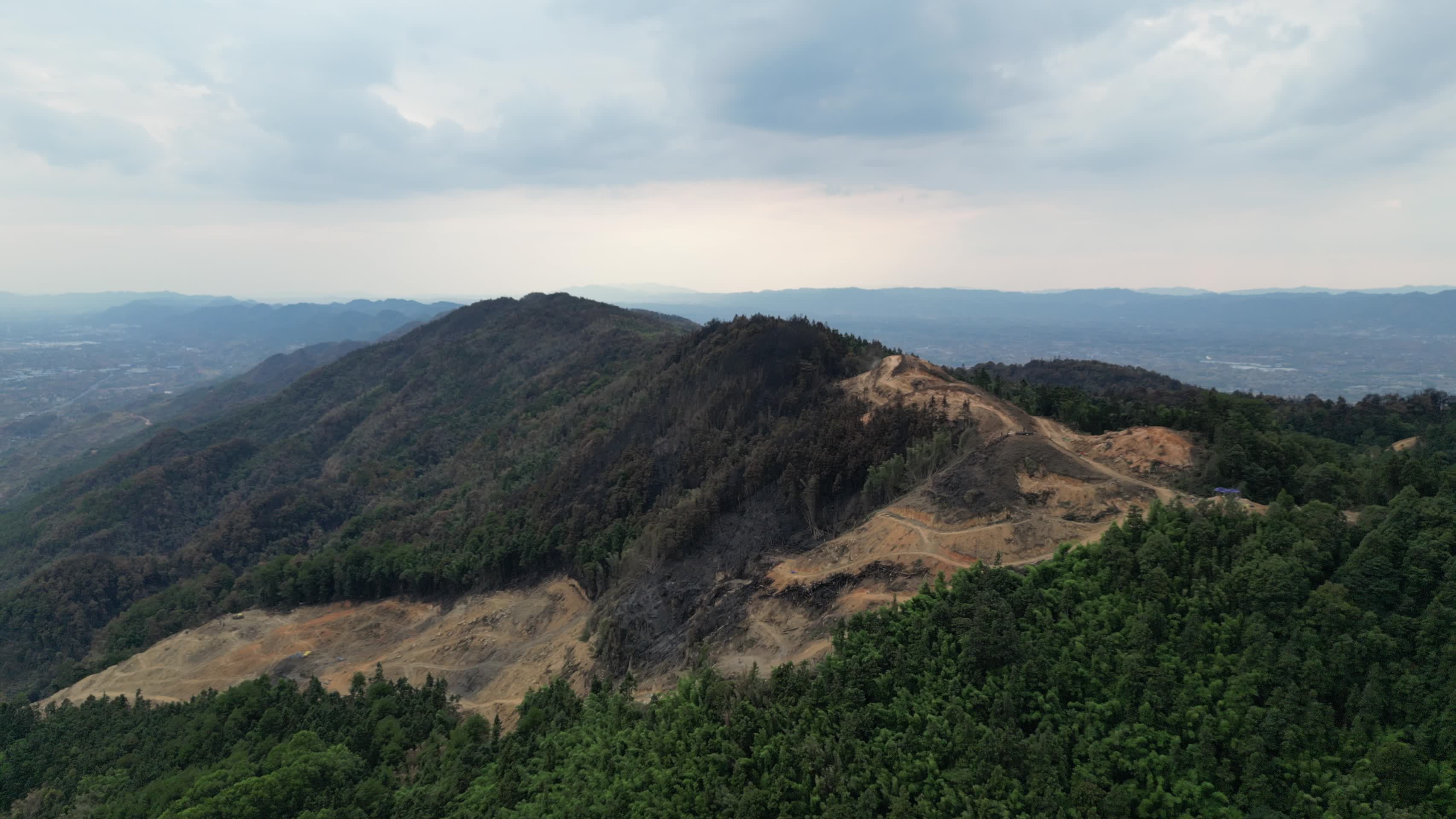 山火后的森林隔离带2022年8月重庆北碚缙云山视频的预览图
