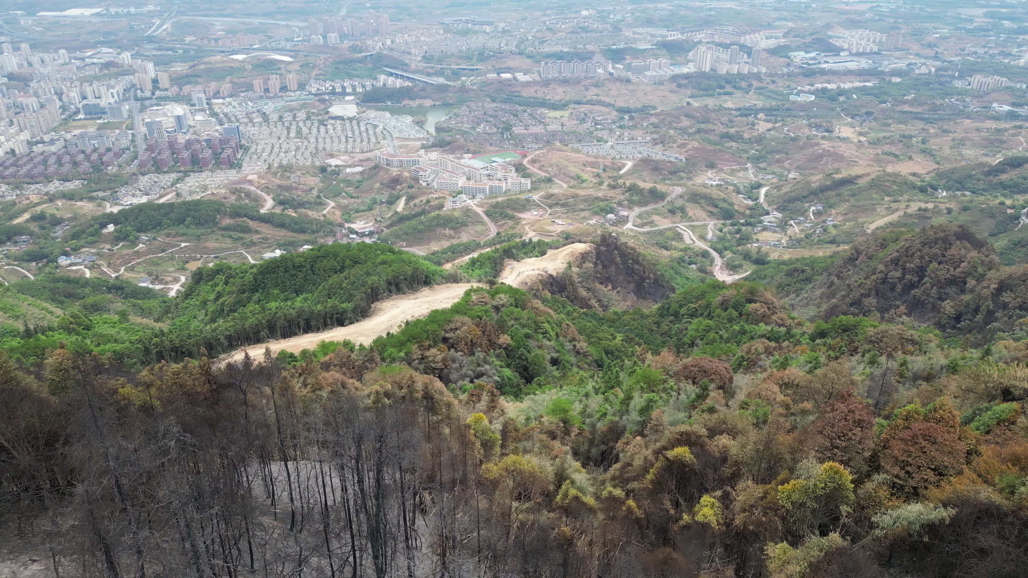 航拍山火后的重庆北碚缙云山隔离带视频的预览图