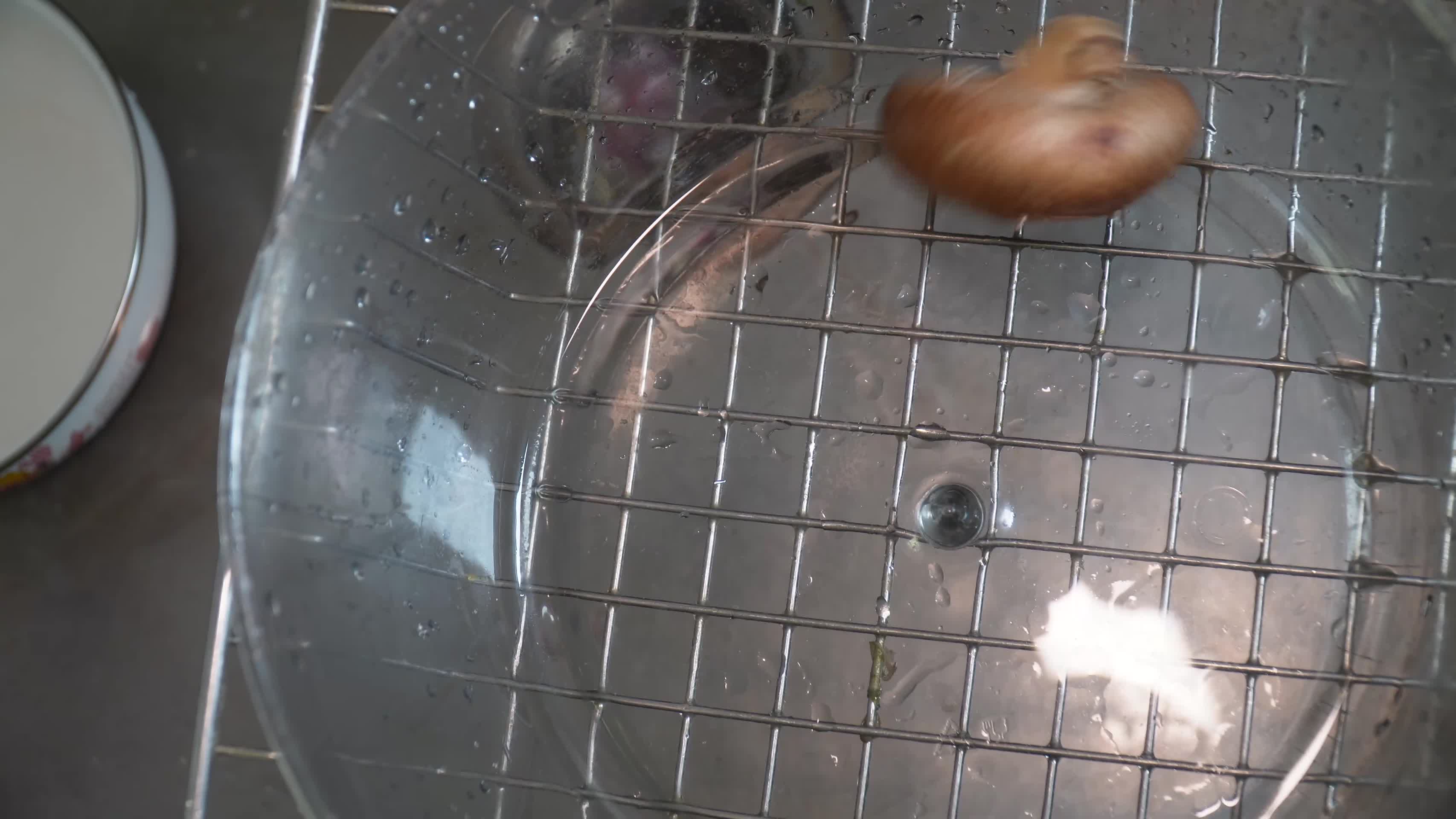 主妇清洗香菇切香菇视频的预览图