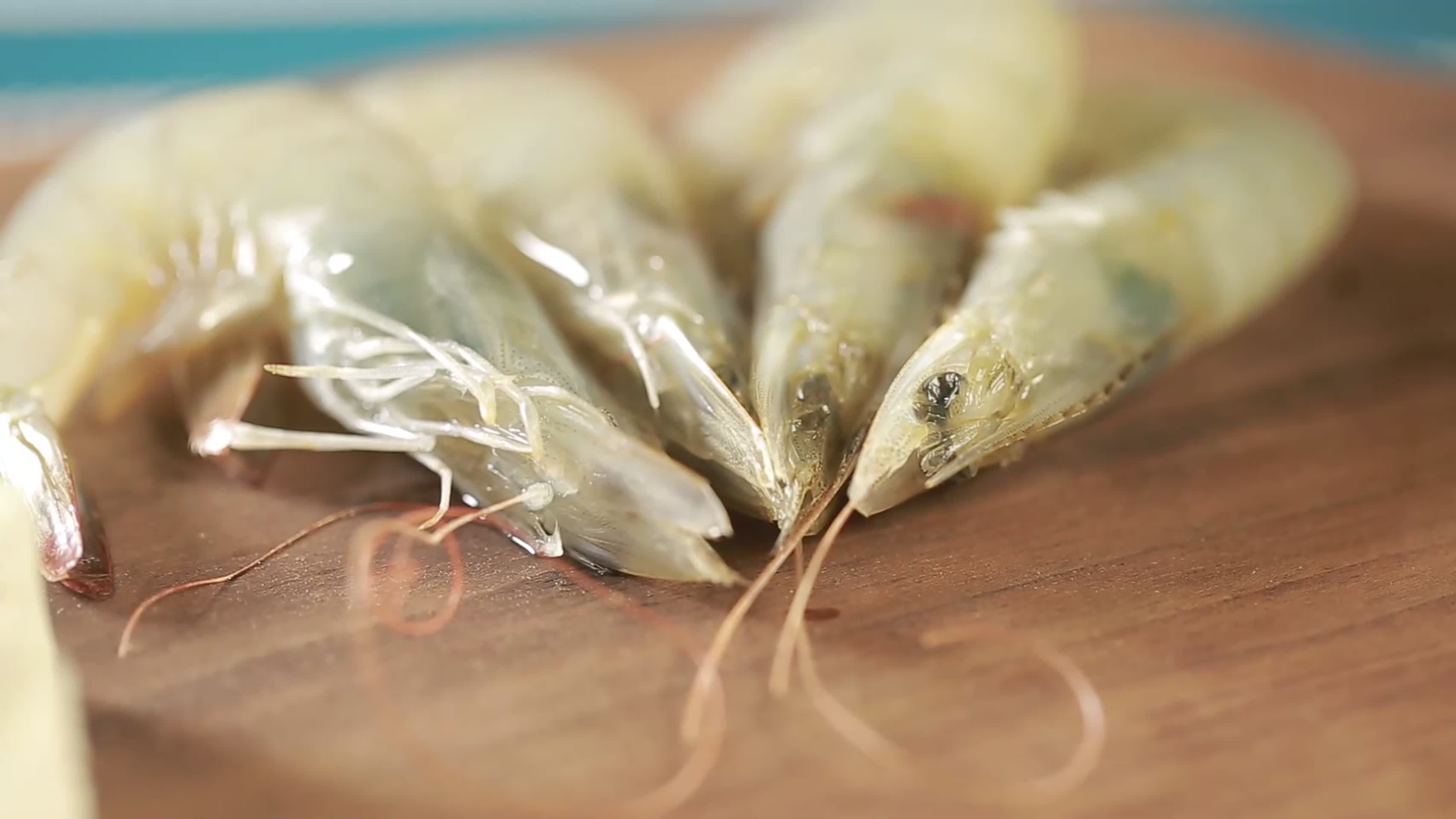 镜头合集大虾配豆腐海鲜豆腐原料视频的预览图
