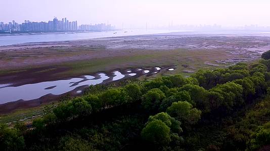 武汉洪山区天兴洲滩涂4K航拍视频视频的预览图