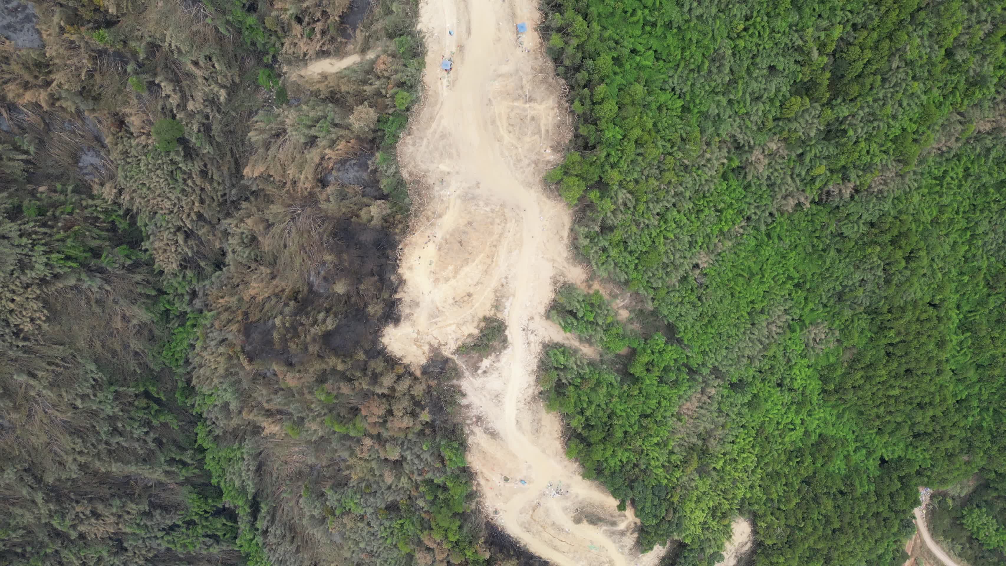 山火后的森林隔离带景象重庆北碚缙云山视频的预览图