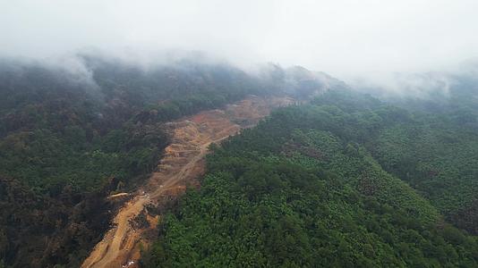 山火后云雾缭绕的森林自然景观2022年8月重庆北碚缙云山视频的预览图