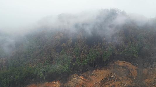 雨后云雾缭绕的森林隔离带重庆北碚山火视频的预览图