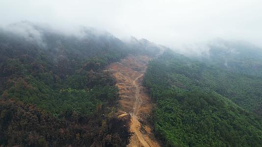 雨后云雾缭绕的森林隔离带重庆北碚山火视频的预览图