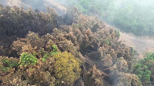 雨后云雾缭绕的森林隔离带2022年8月重庆北碚山火视频的预览图