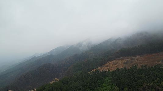雾气笼罩的重庆北碚缙云山隔离带航拍视频的预览图