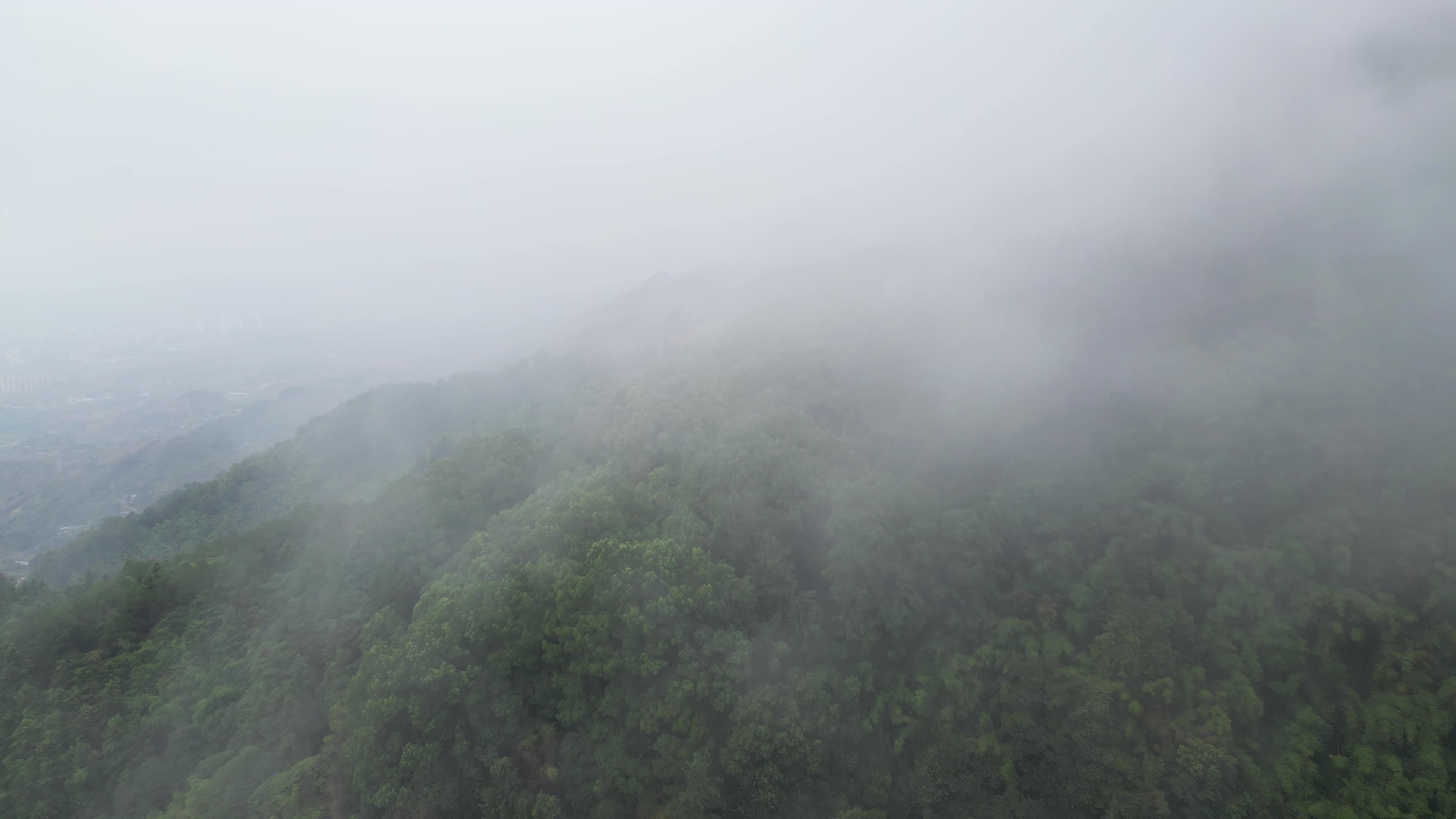 云雾缭绕的重庆北碚缙云山自然风光山火后的隔离带视频的预览图