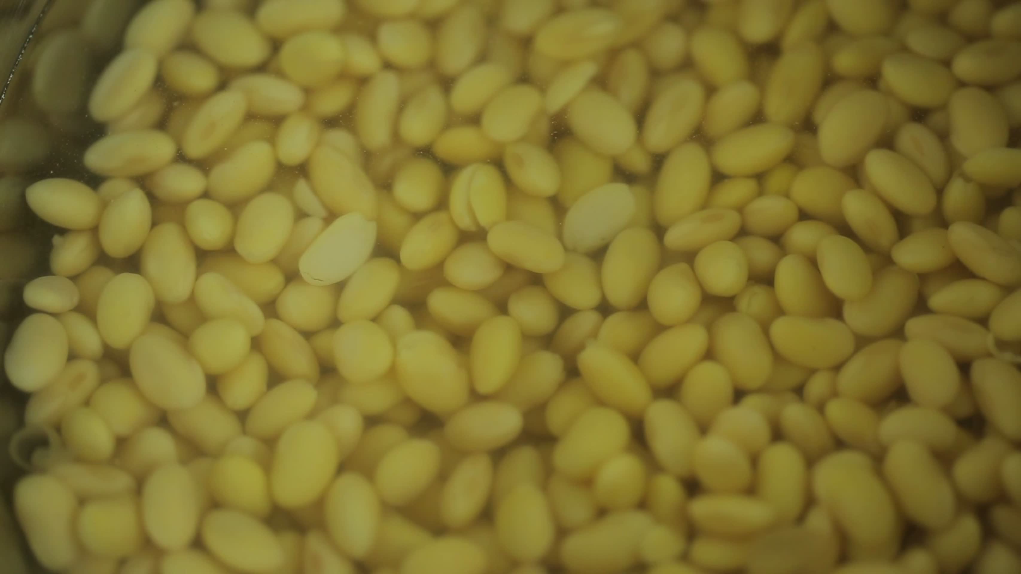 泡发的黄豆视频的预览图