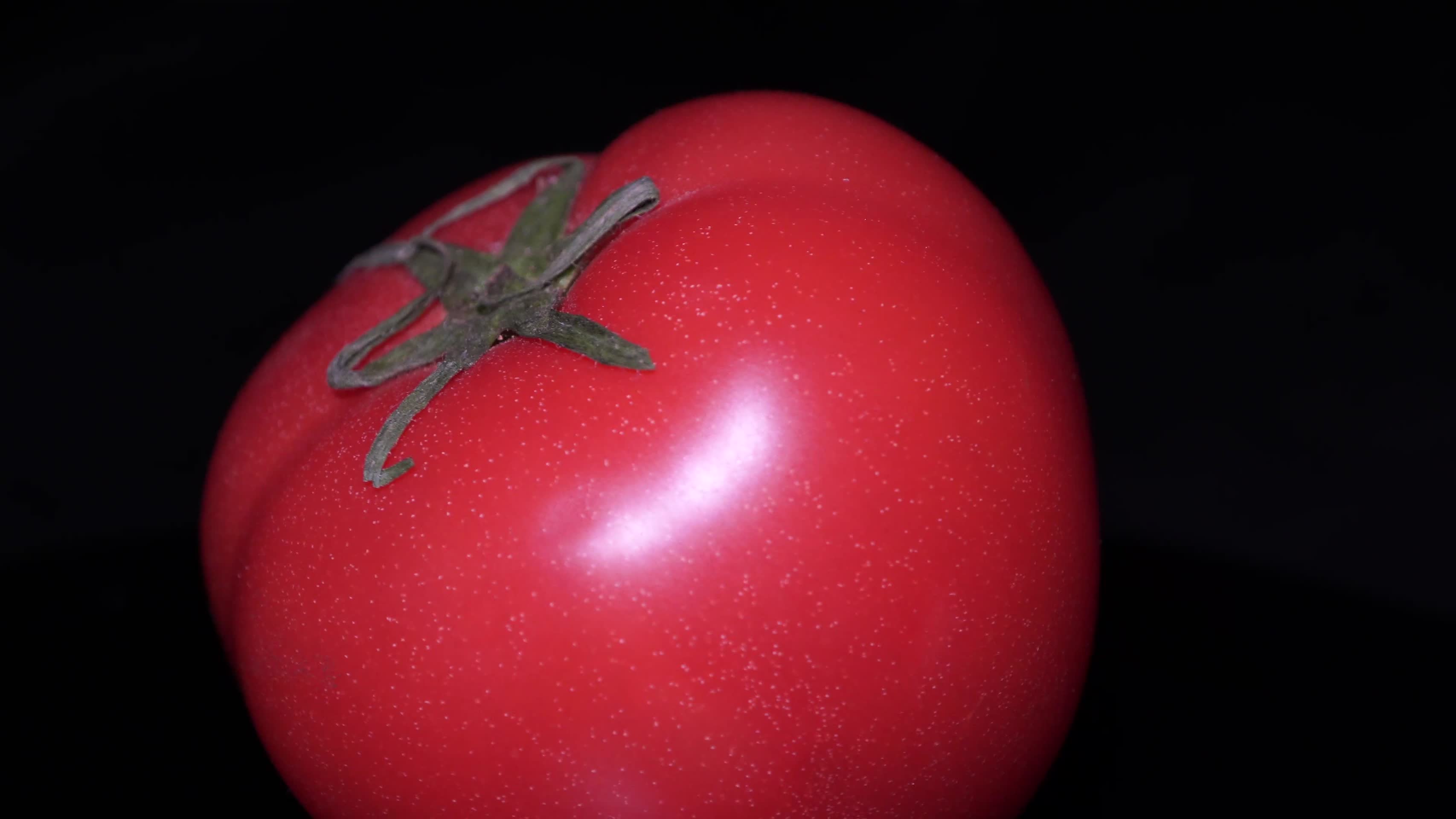 西红柿柿子番茄视频的预览图
