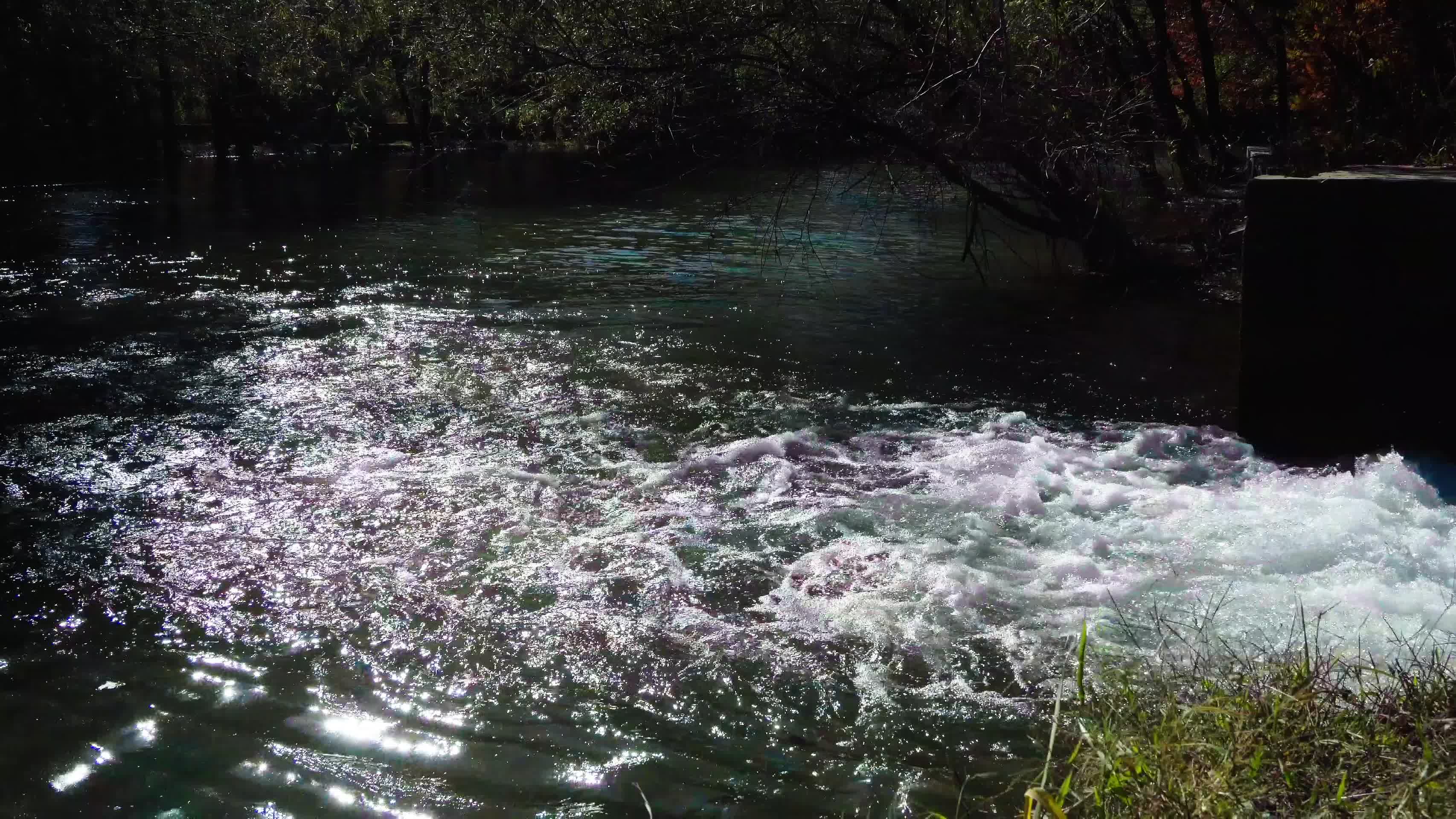 小河流水视频的预览图