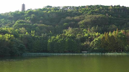 夏日公园湖畔清凉背景视频视频的预览图