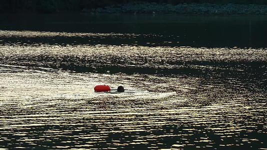 夕阳下湖中游泳的人视频视频的预览图