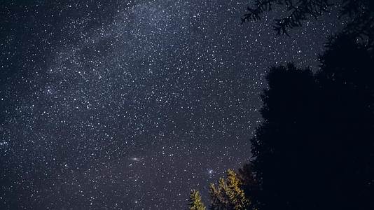 夜晚森林星空流星唯美延时视频的预览图