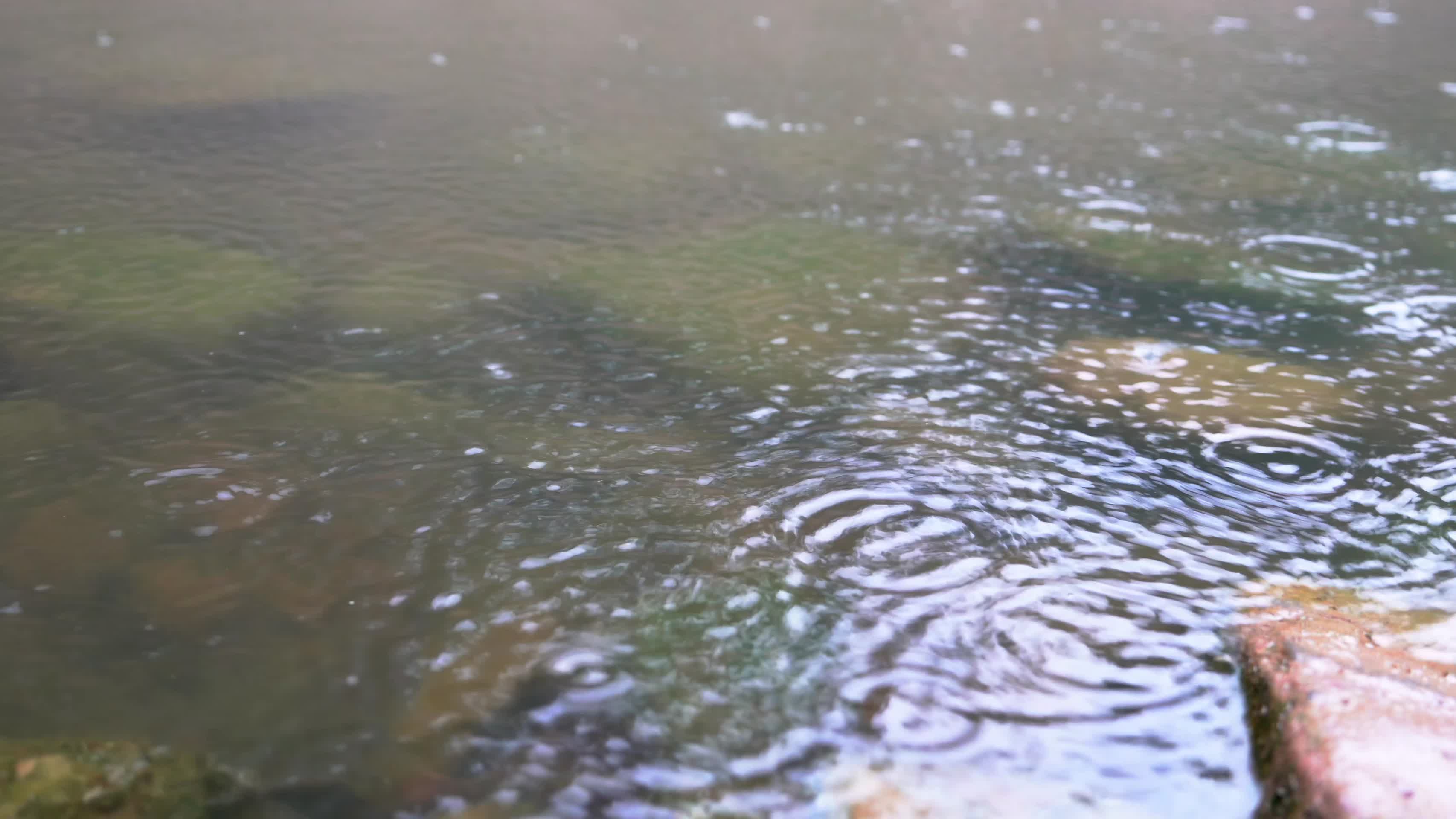 清晨细雨下的潺潺溪流背景视频的预览图