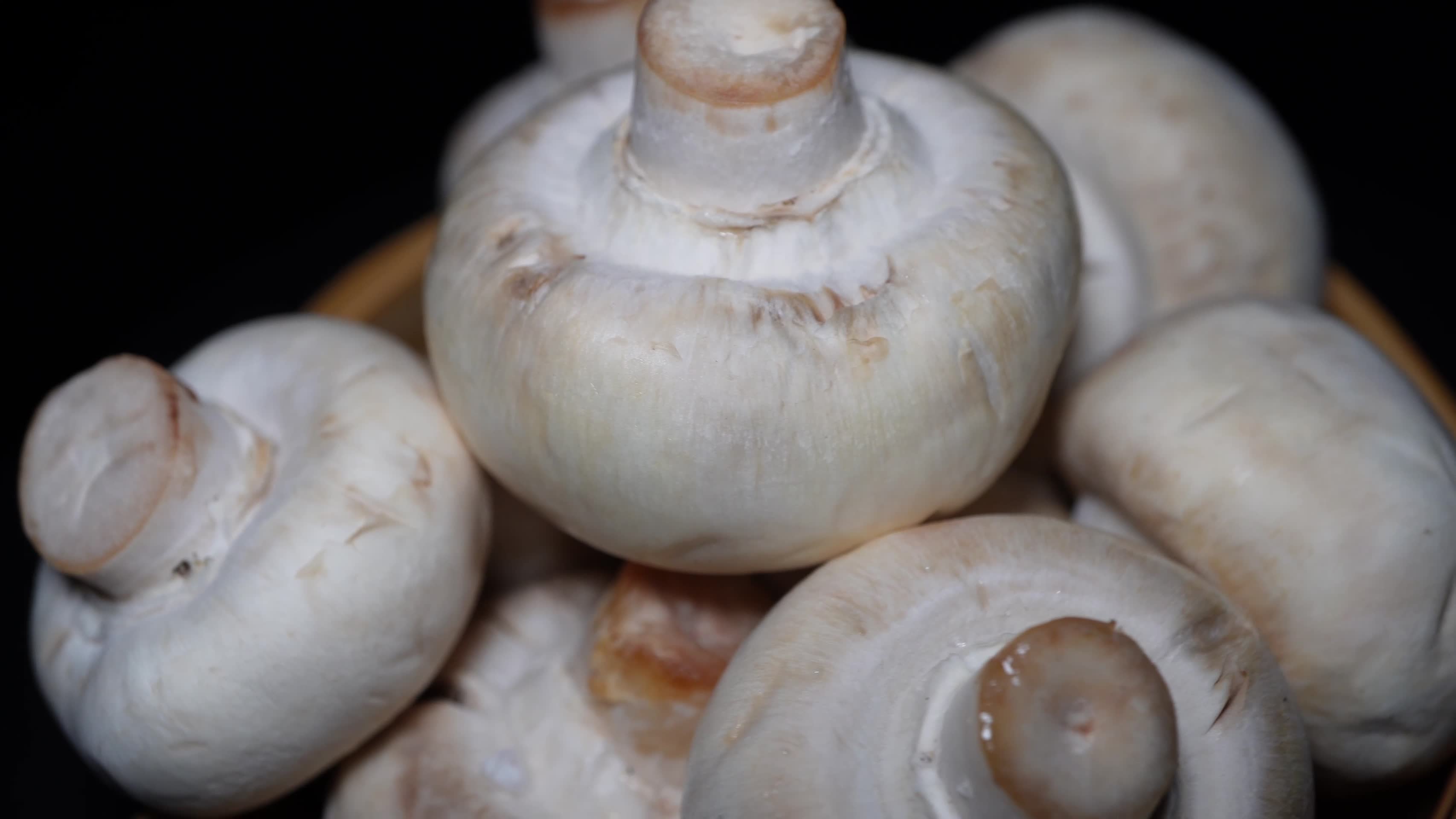 口蘑白蘑菇食材氨基酸视频的预览图