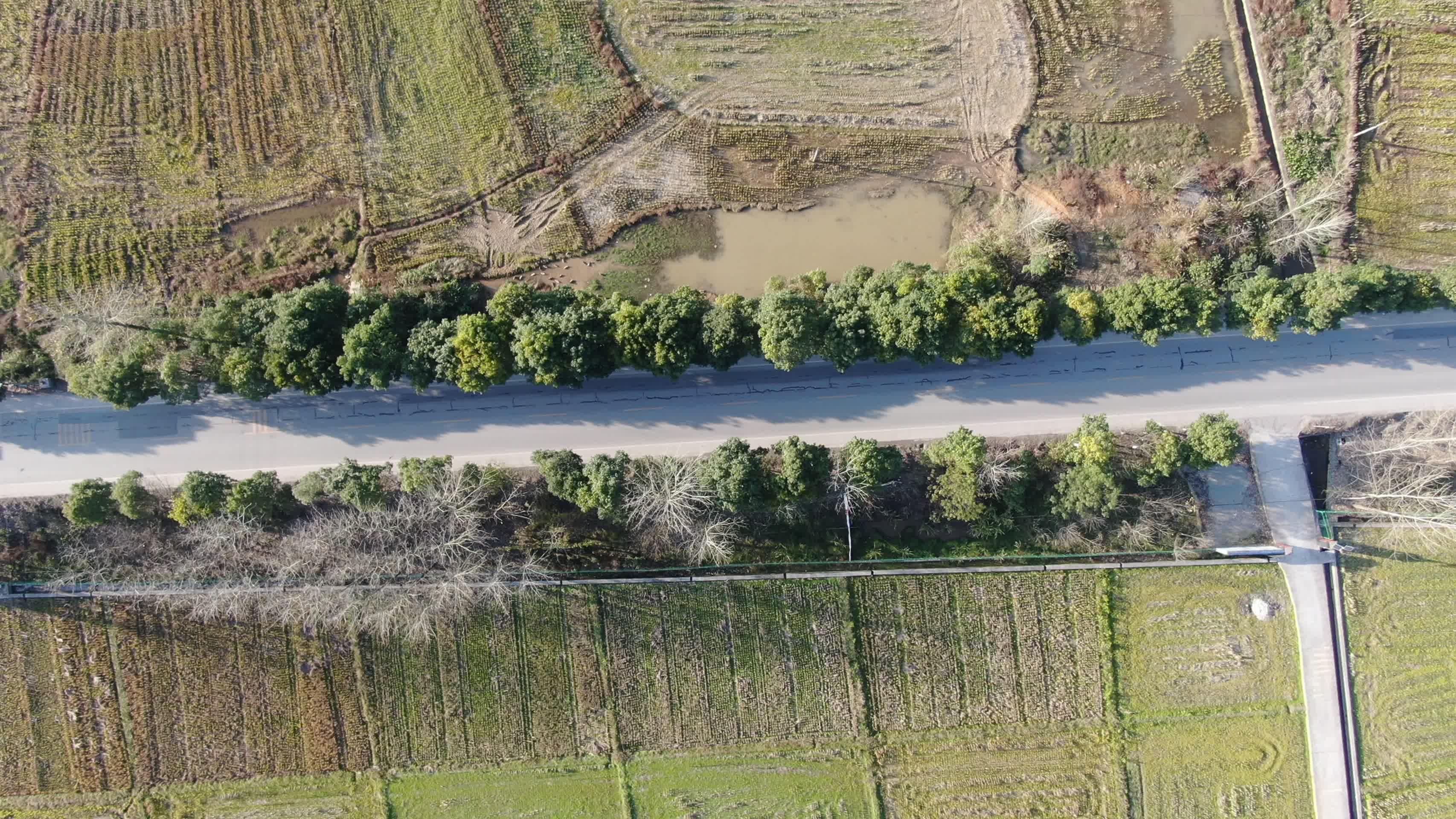 山川丘陵乡村田园农业种植航拍视频的预览图
