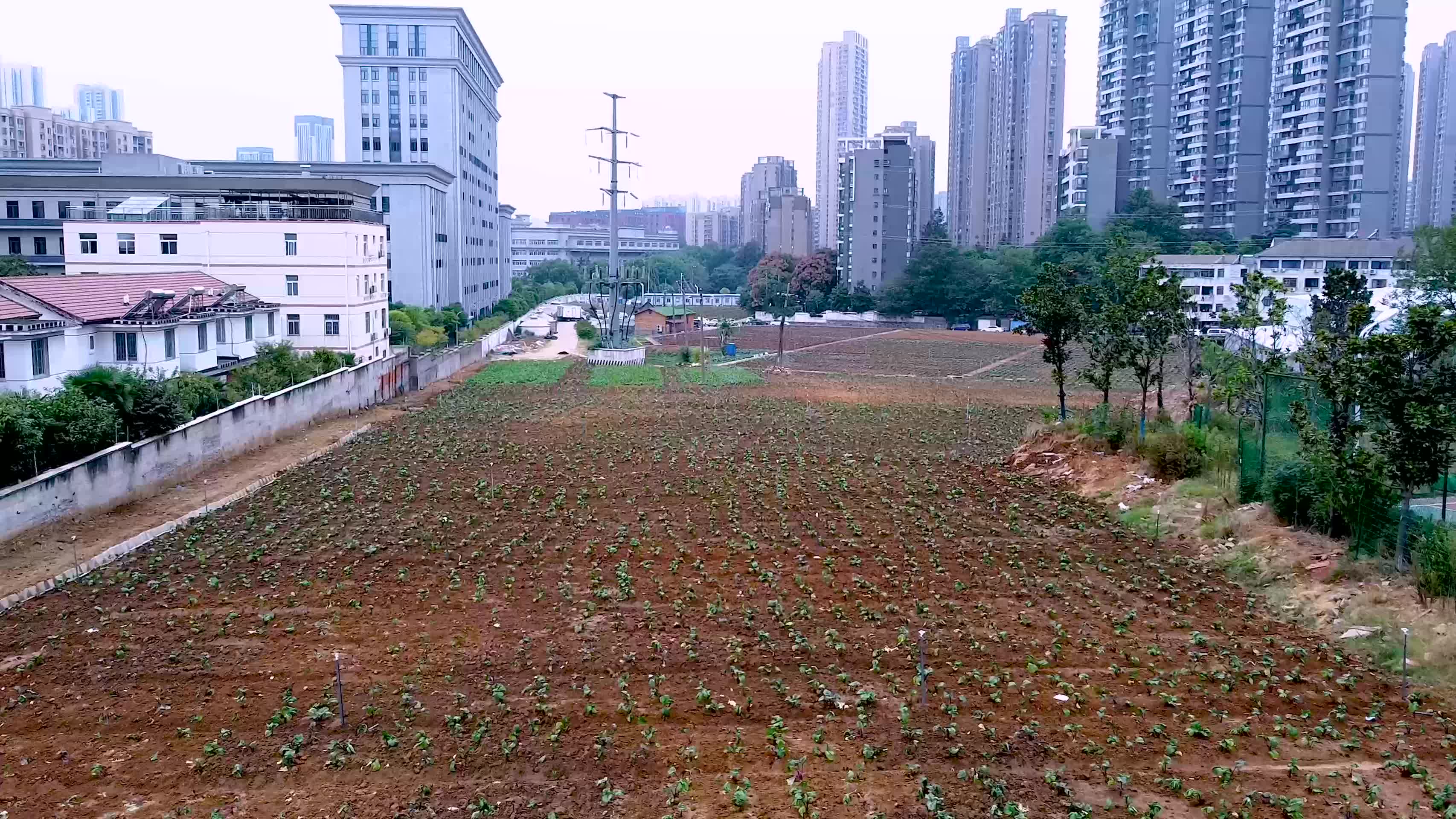 武汉洪山区菜薹公园4K航拍视频的预览图