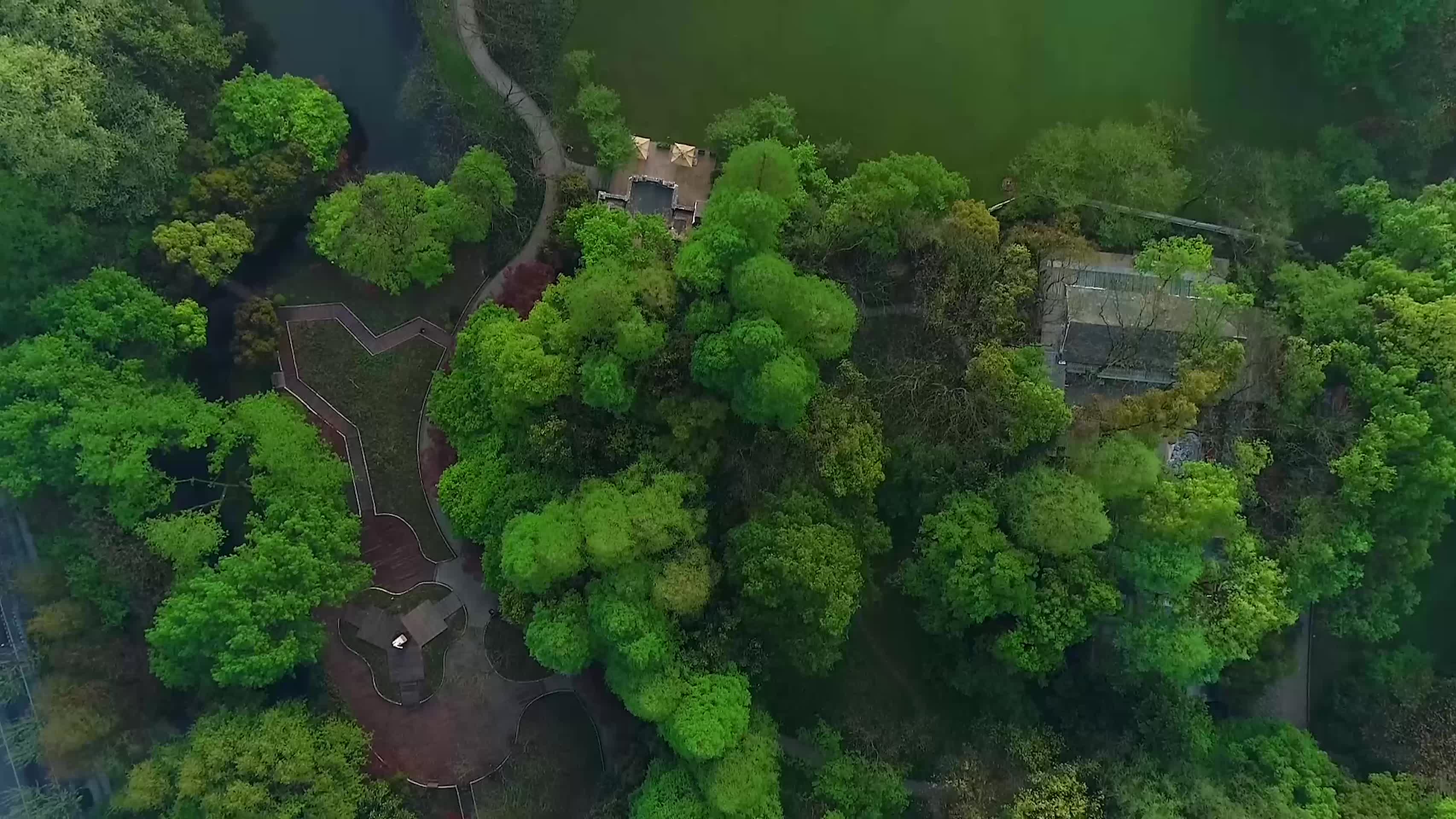 杭州西湖雾气太子湾公园4K航拍视频视频的预览图