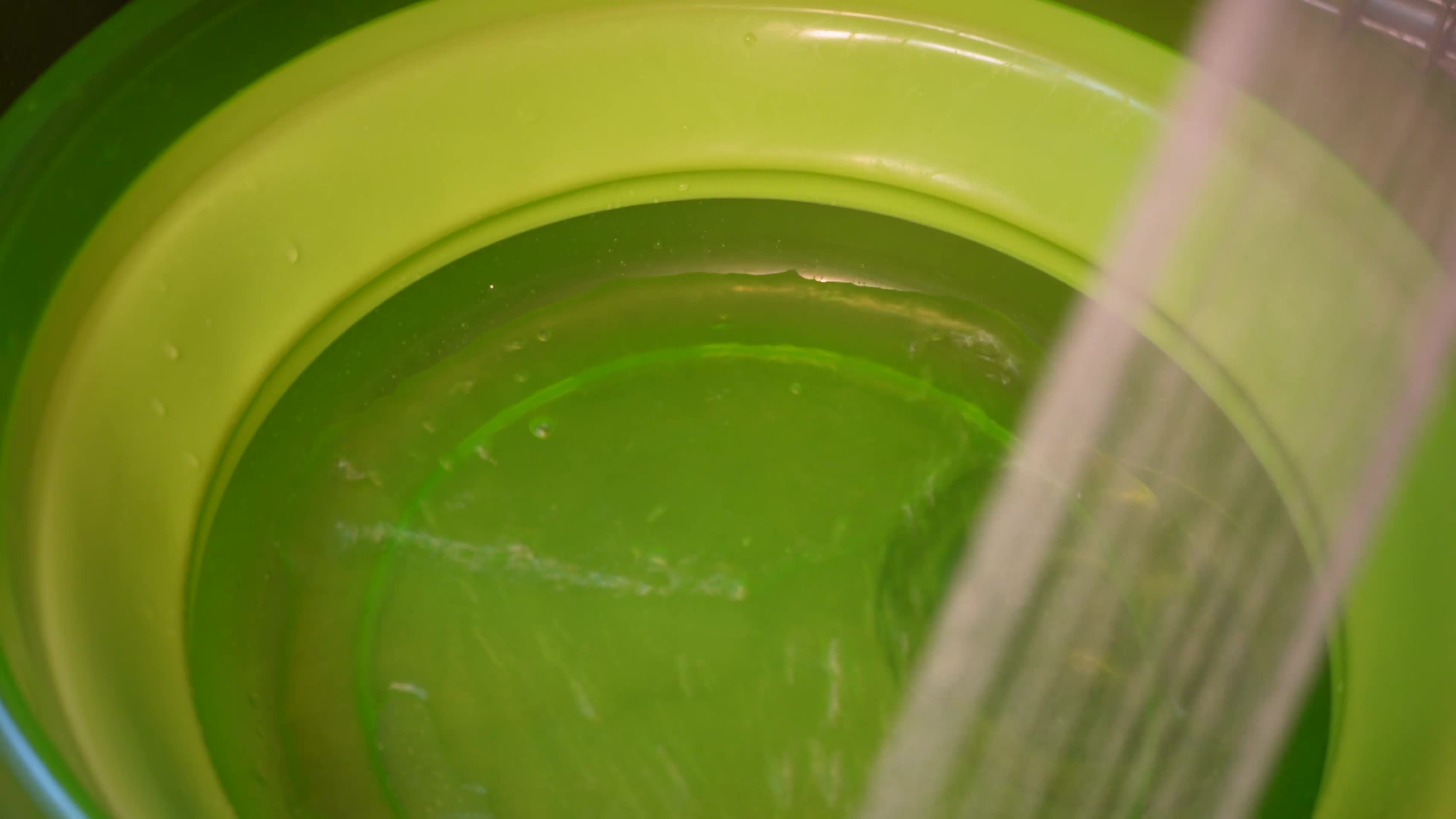 水盆清洗秋葵洗菜健康食材视频的预览图