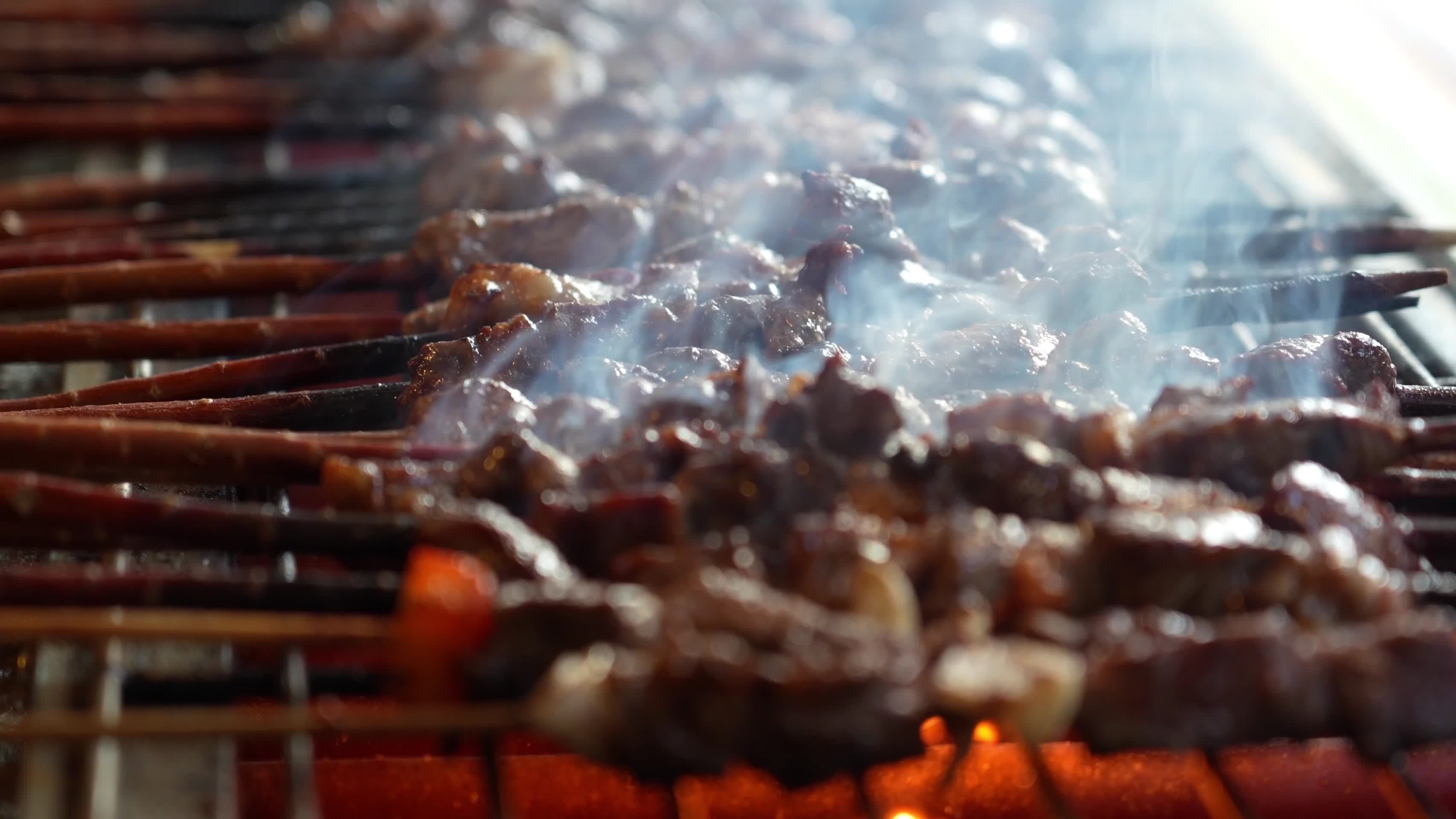 合集红柳枝羊肉串烧烤特写视频的预览图