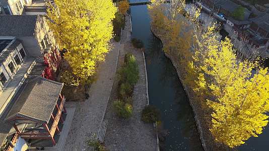 秋季古镇秋色航拍视频的预览图