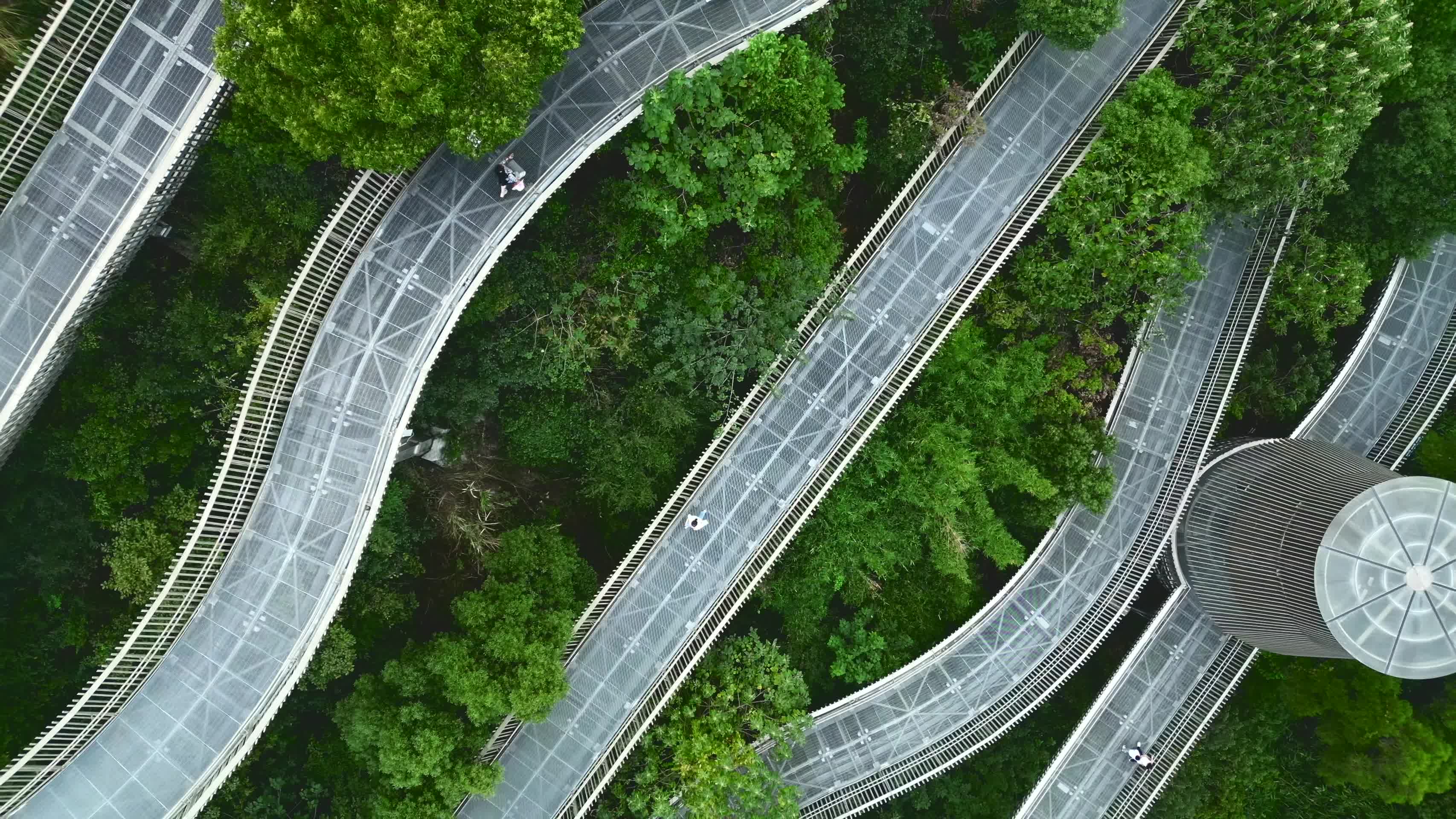福州福道森林栈道航拍4K视频的预览图
