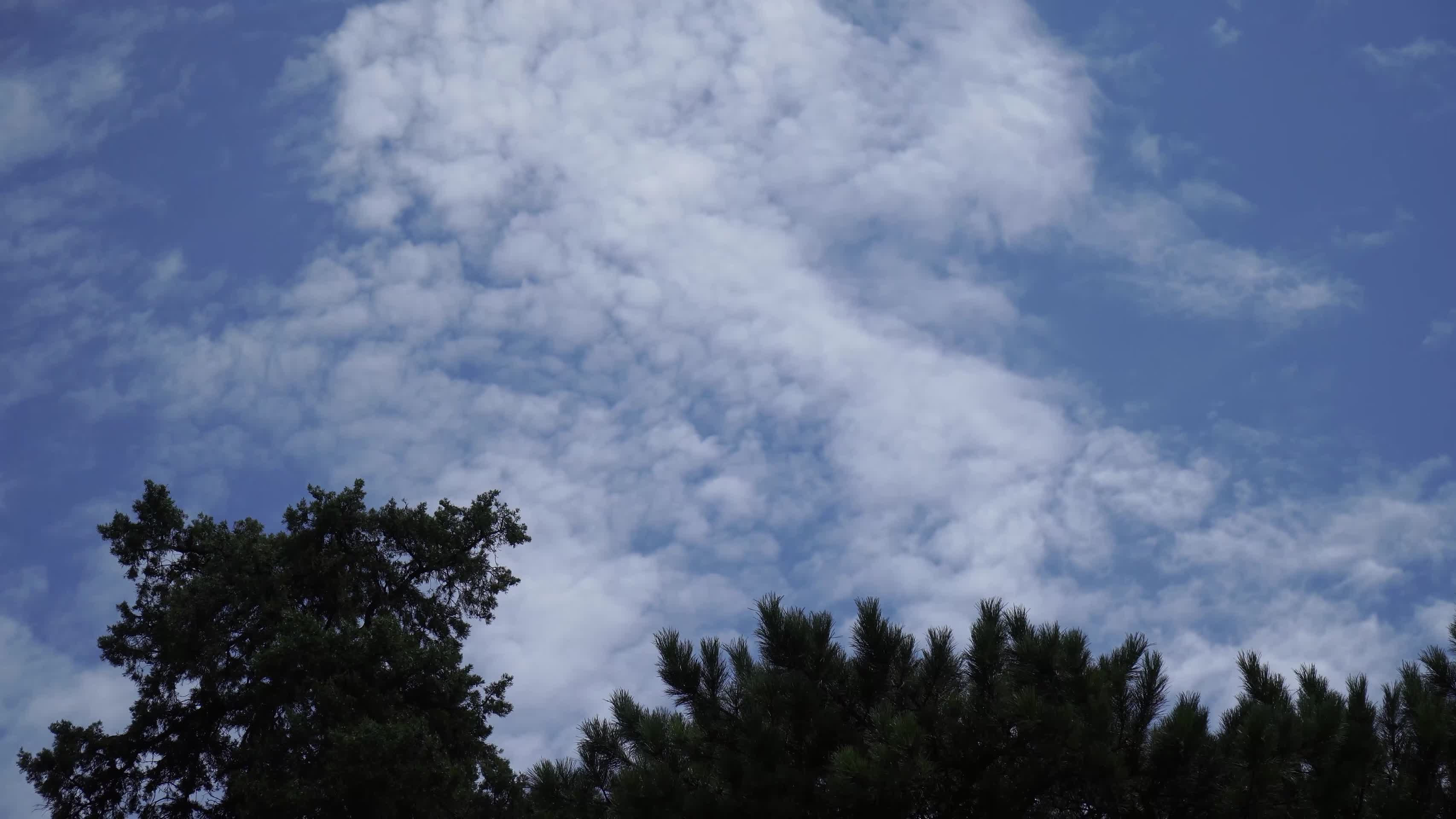 天空蓝天白云云彩云朵风景视频的预览图