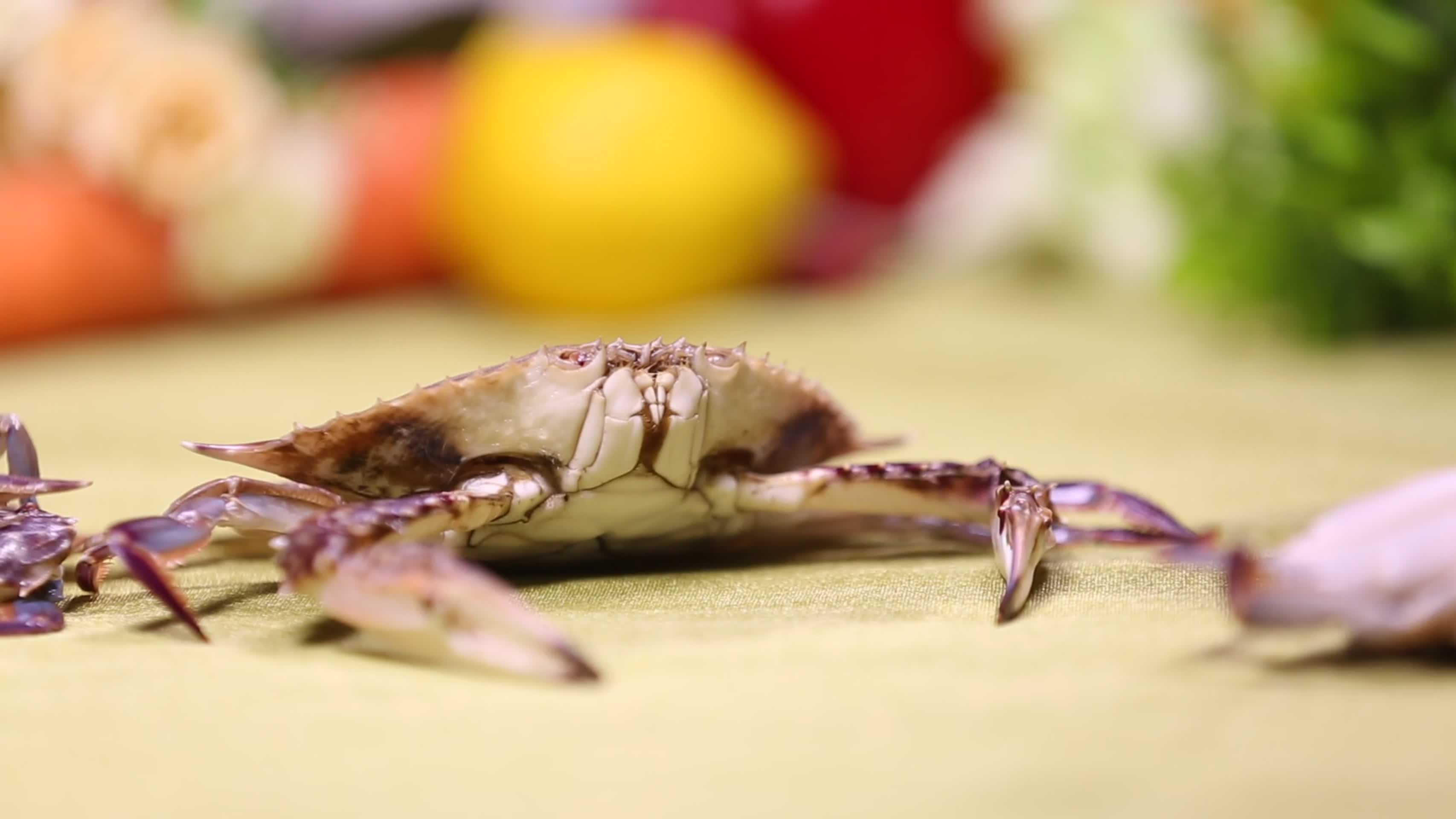 美食螃蟹梭子蟹飞蟹视频的预览图