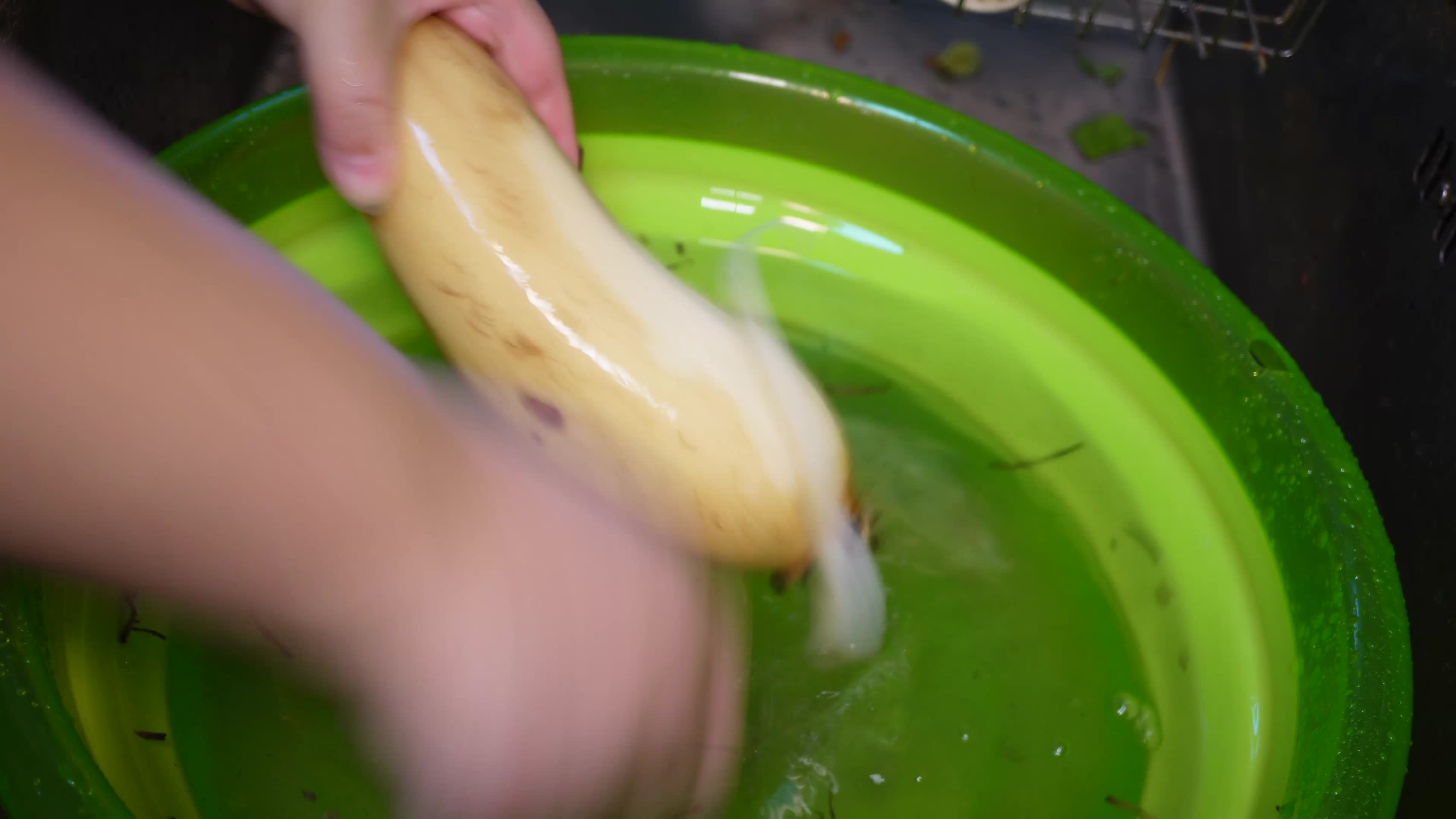刷洗莲藕切莲藕片做饭视频的预览图
