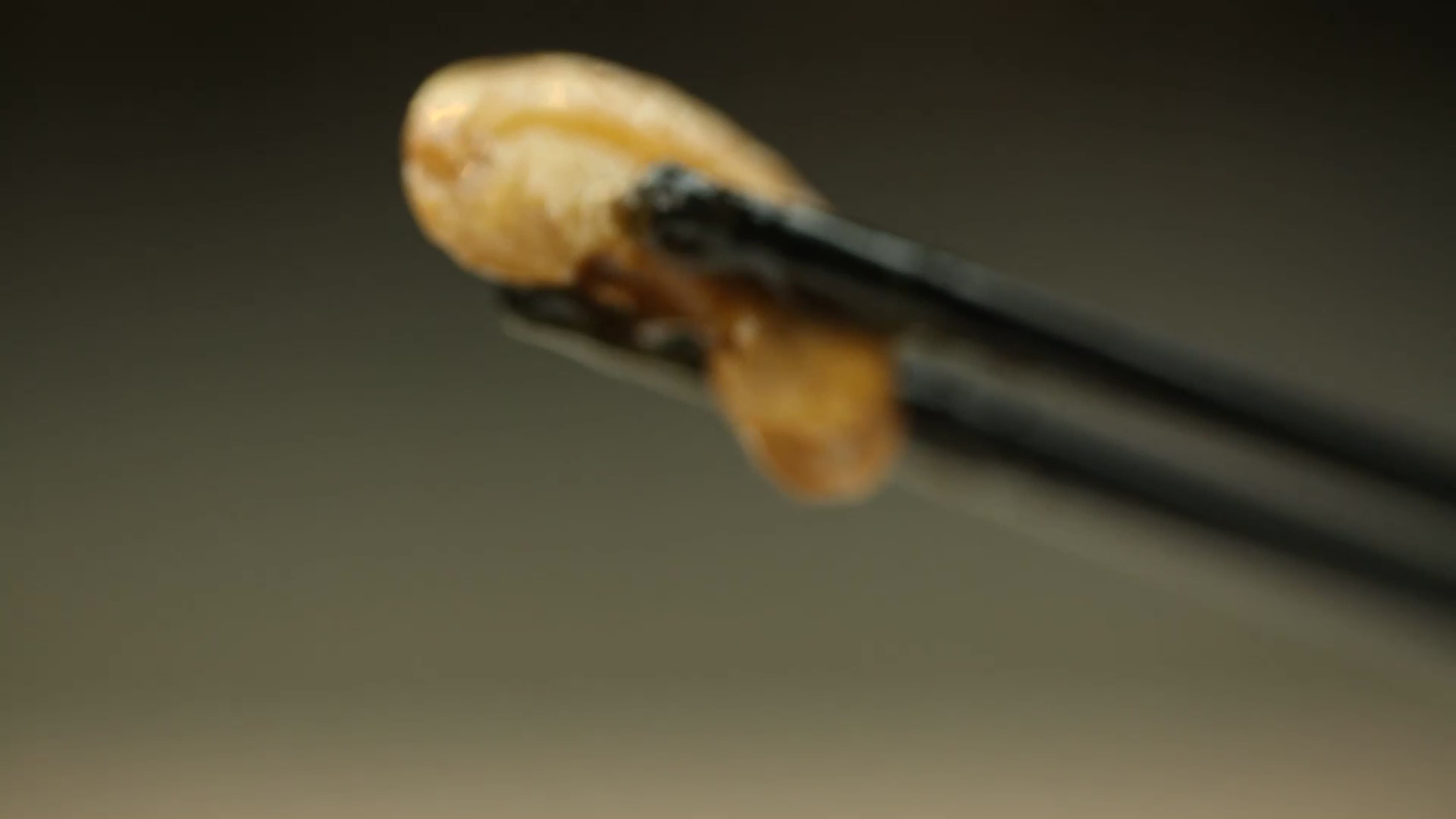 红烧什锦蘑菇视频的预览图
