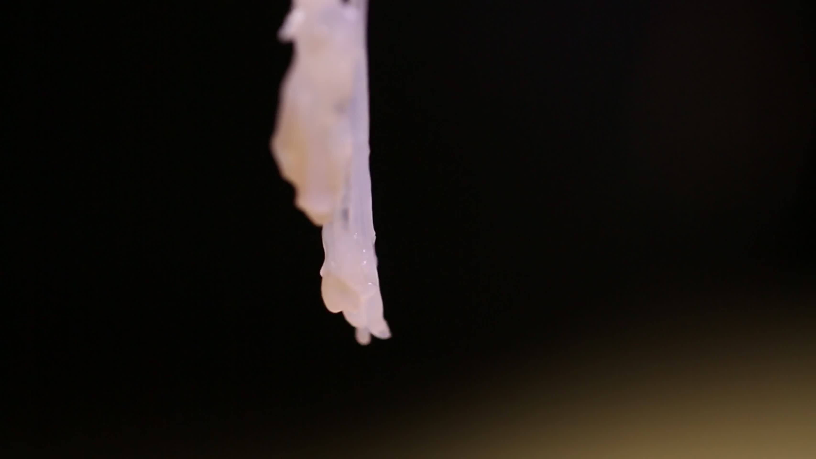 剥出的蟹肉螃蟹肉蟹黄蟹膏视频的预览图