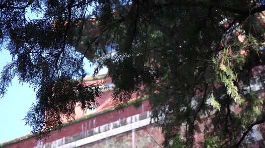 颐和园佛香阁古建筑红墙视频的预览图