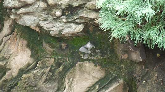 假山石雕塑中式园林造景视频的预览图