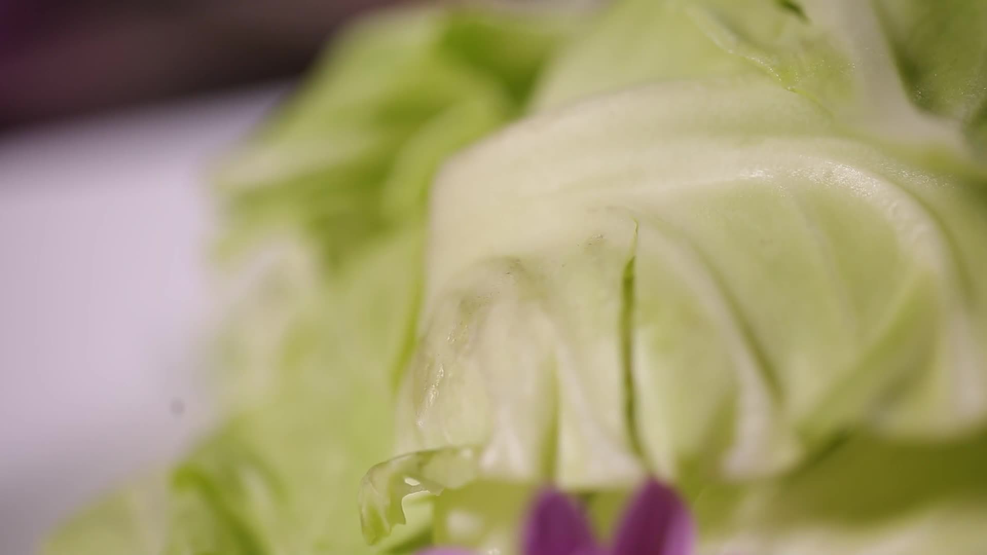 蔬菜包菜圆白菜视频的预览图