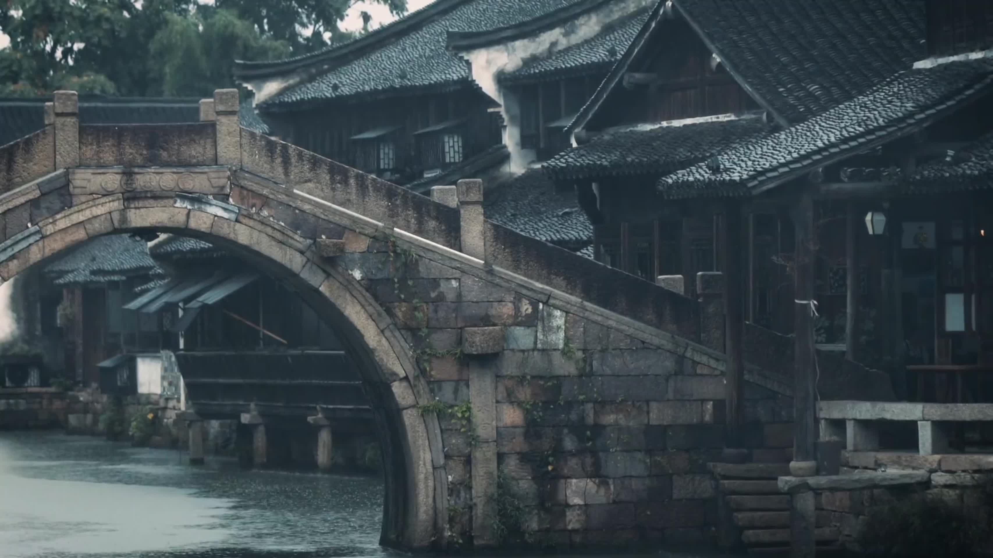 合集江南古镇四季风光视频的预览图