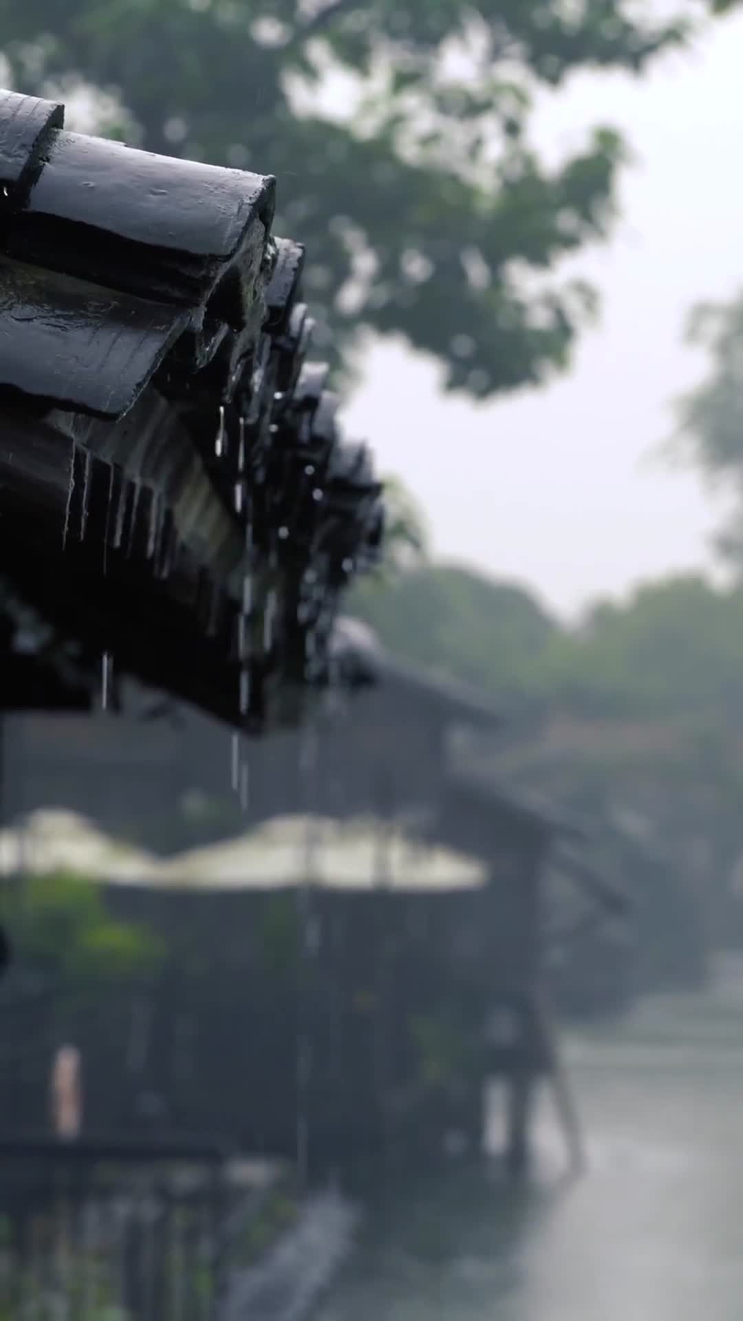 合集江南古镇四季风光视频的预览图