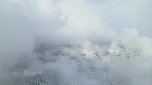 瓦屋山冬季航拍国家森林公园视频的预览图