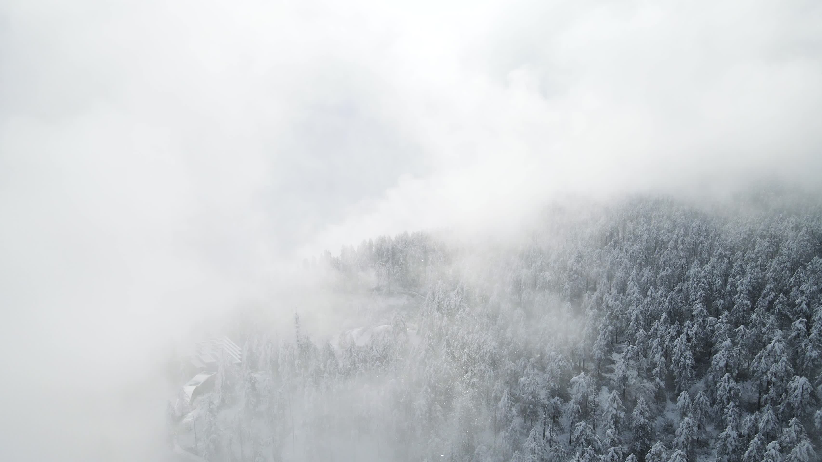 冬季四川瓦屋山国家森林公园视频的预览图